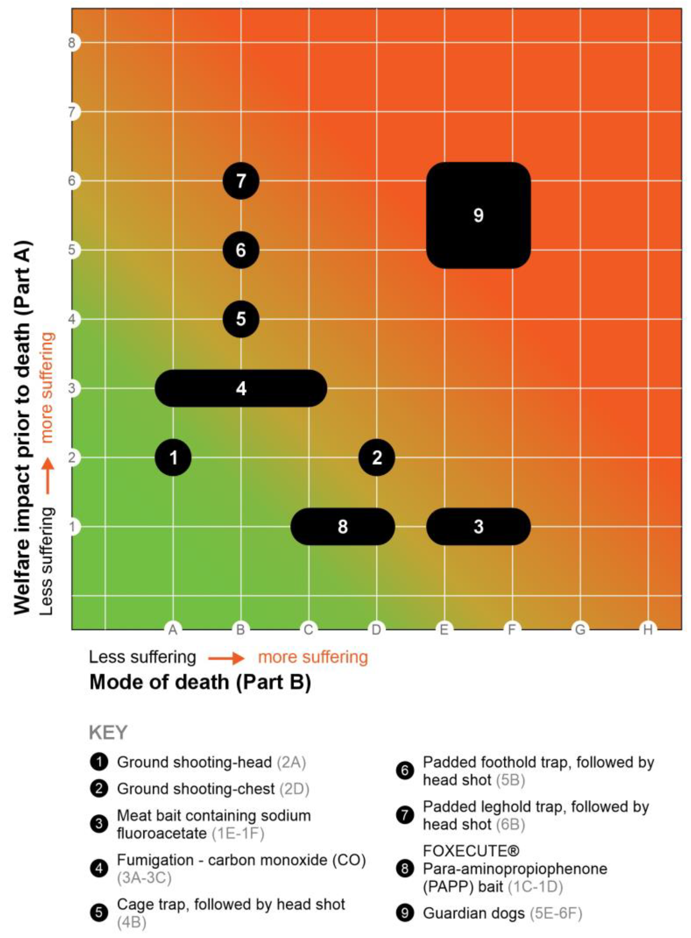Animals 14 01672 g003