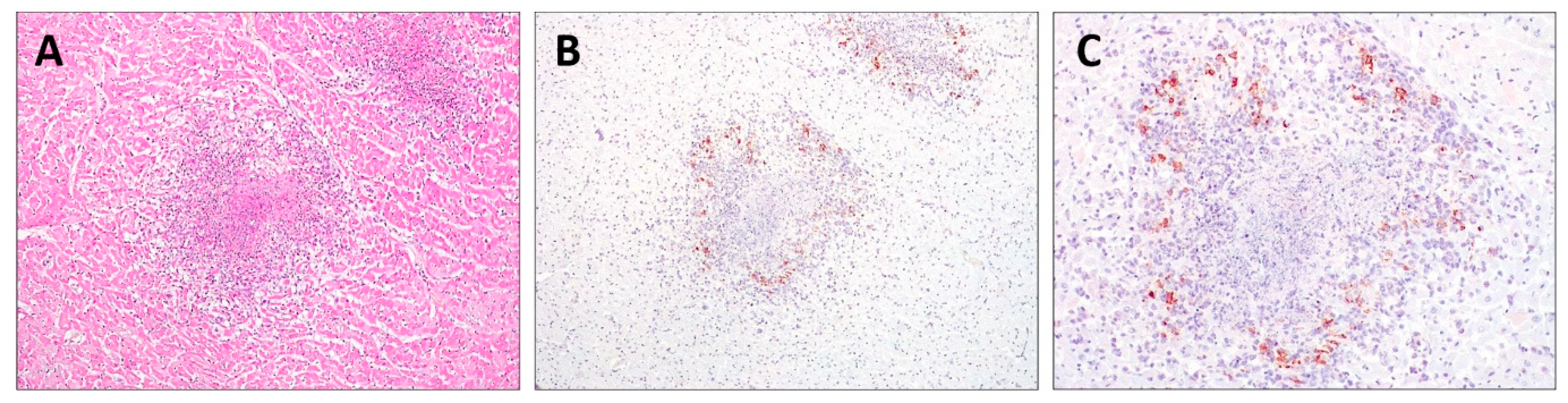 Animals 14 01673 g002