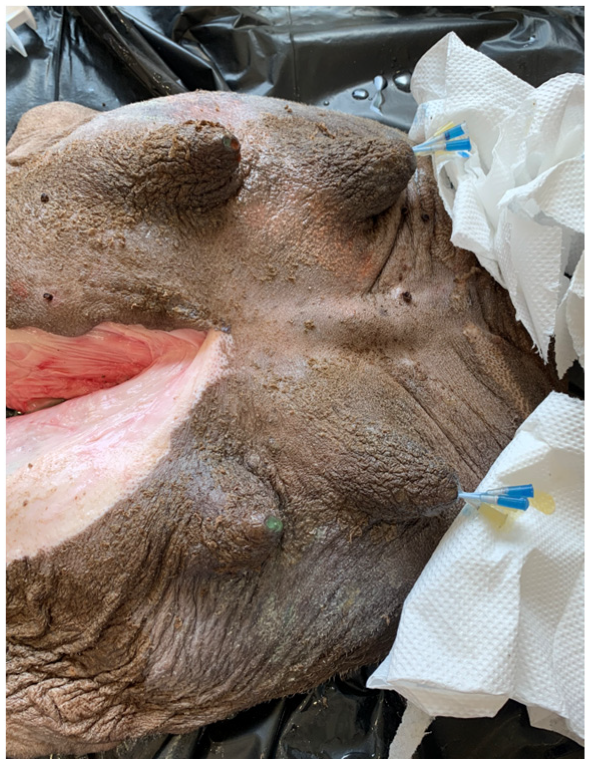 Animals 14 01674 g002