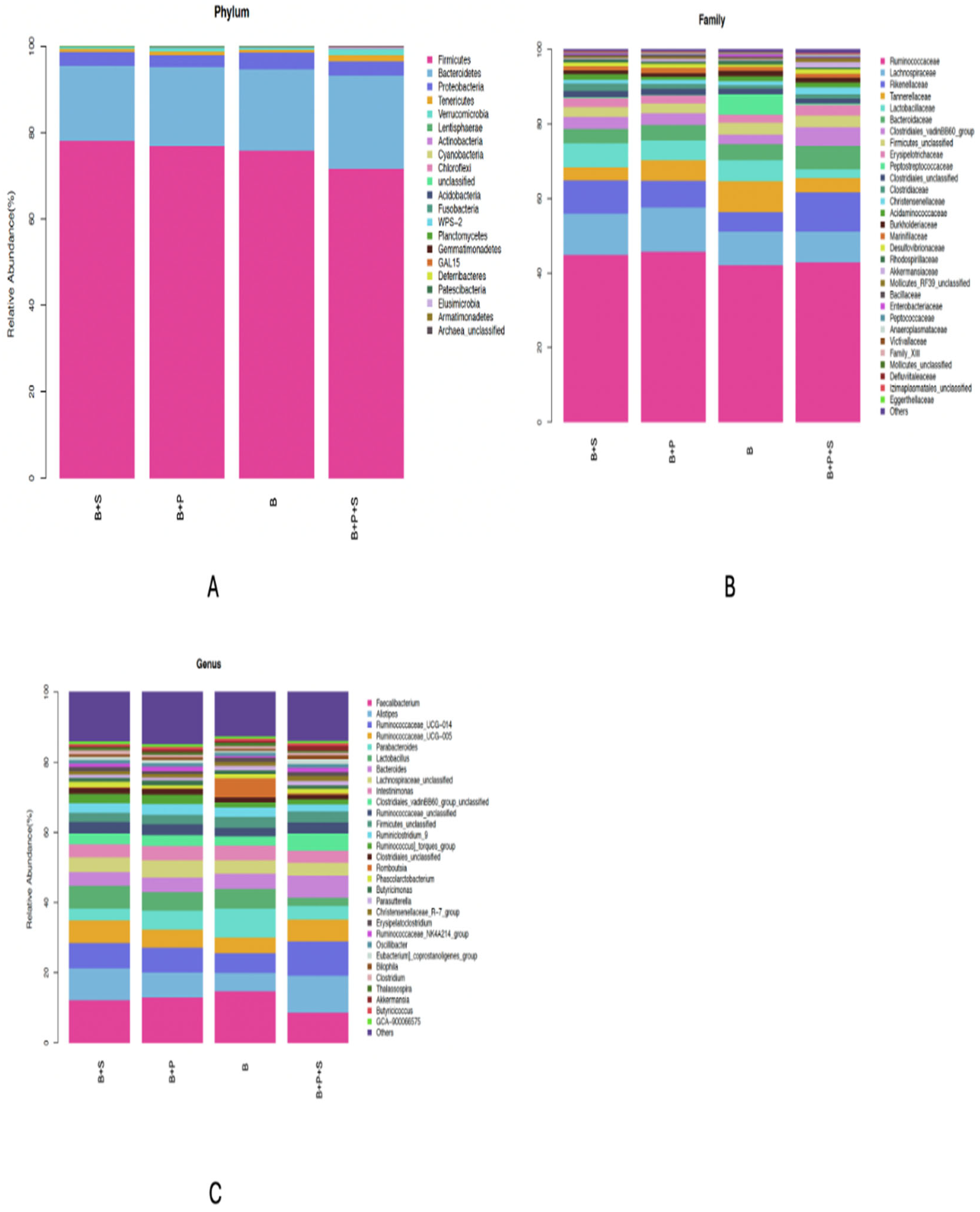 Animals 14 01676 g003