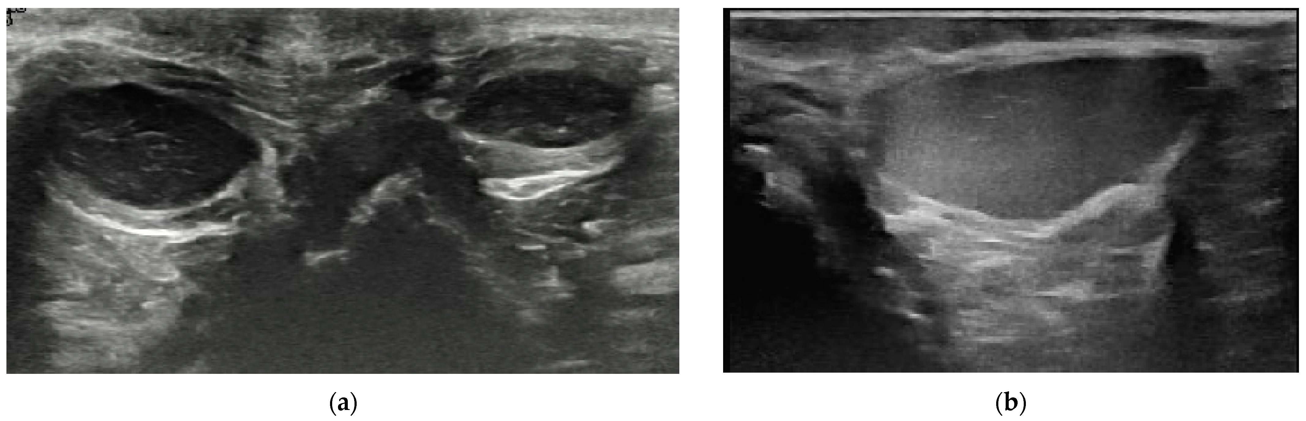 Animals 14 01684 g003