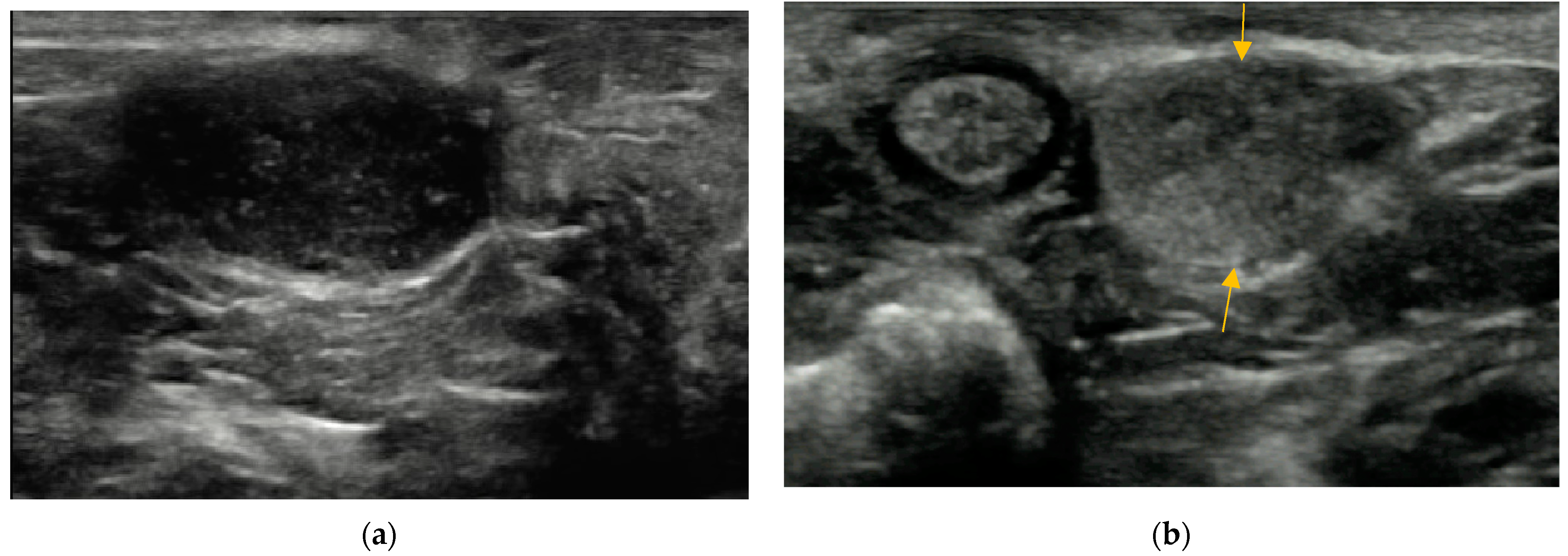 Animals 14 01684 g004