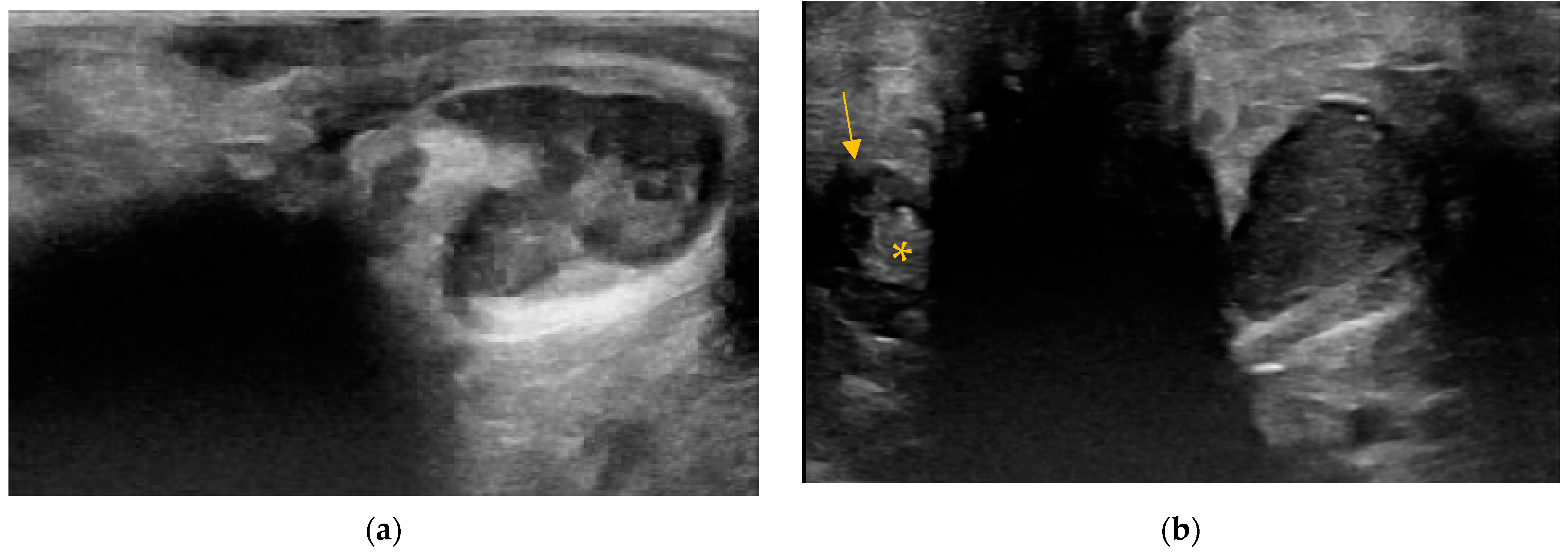 Animals 14 01684 g005