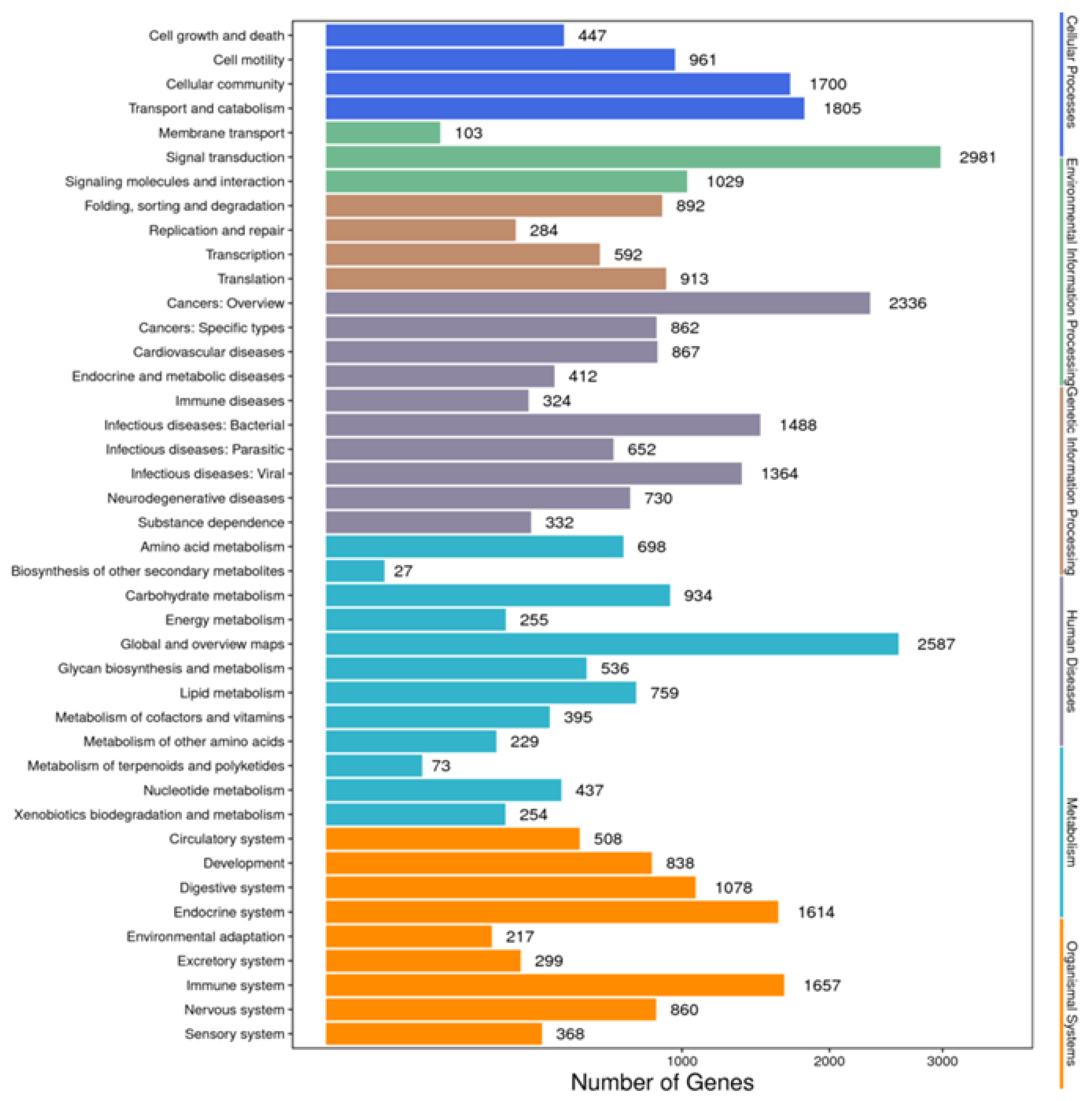 Animals 14 01685 g004