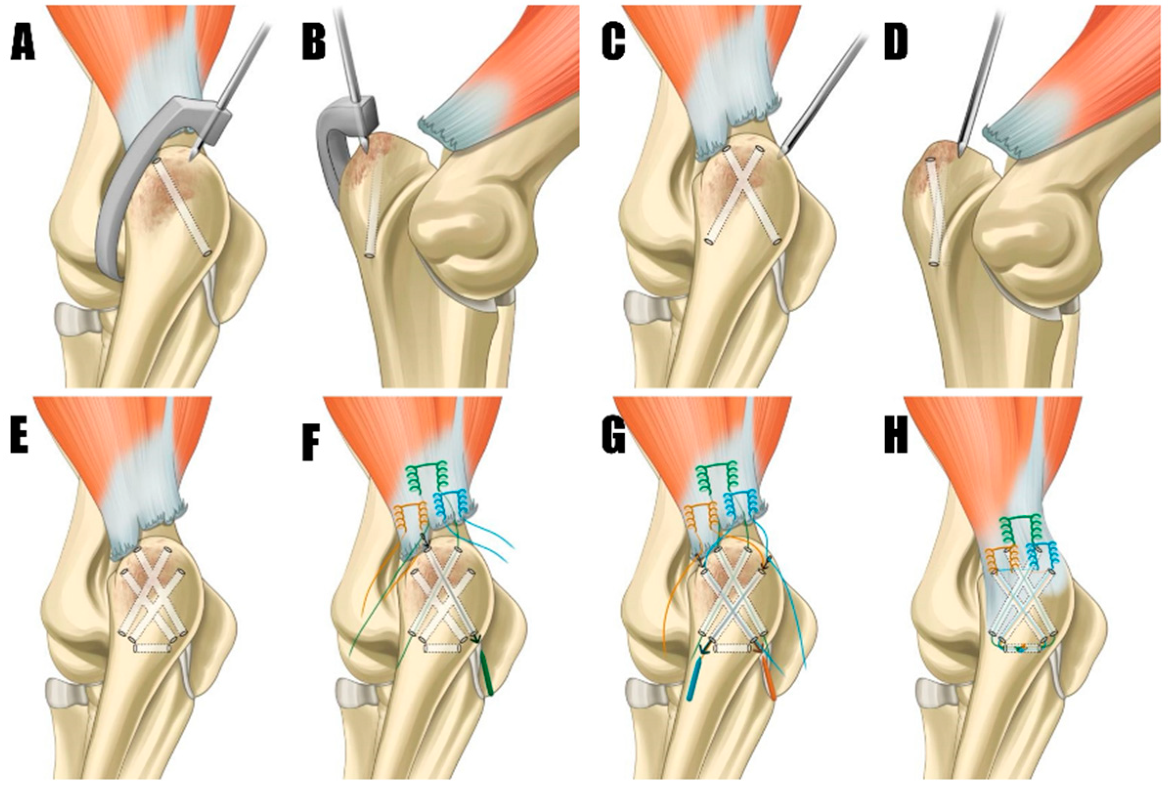 Animals 14 01687 g005