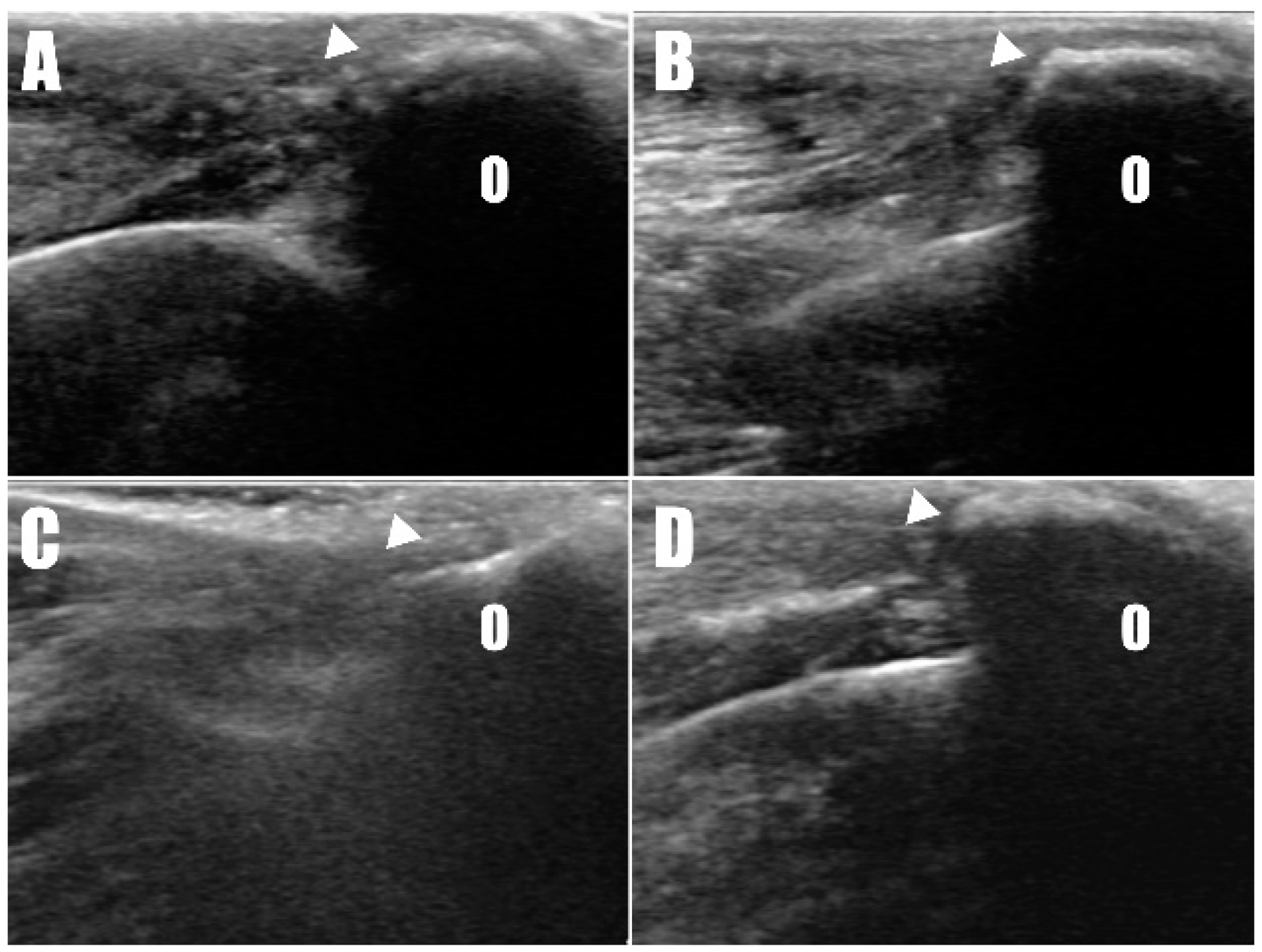 Animals 14 01687 g007