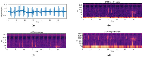 Animals 14 01690 g003