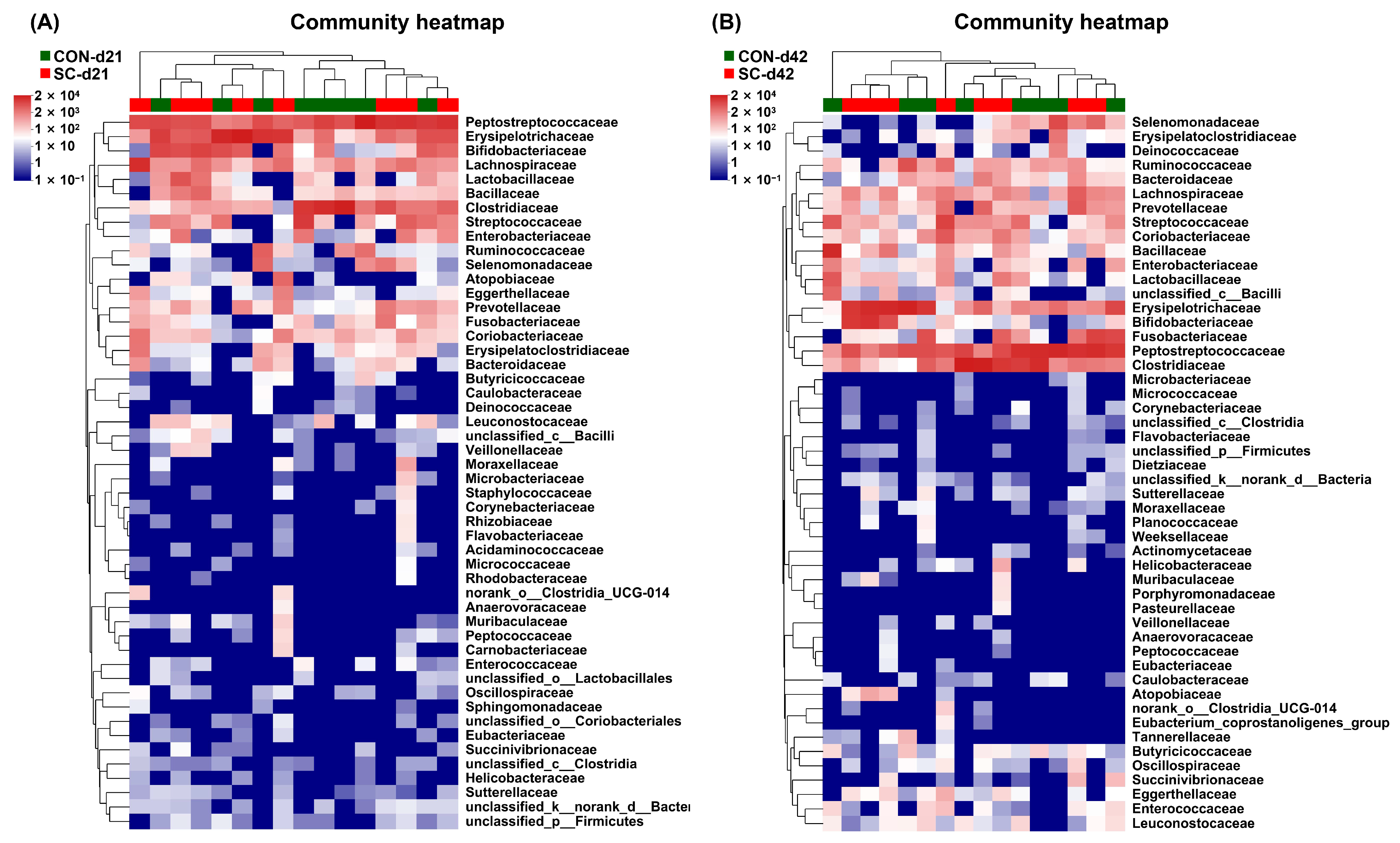 Animals 14 01713 g005