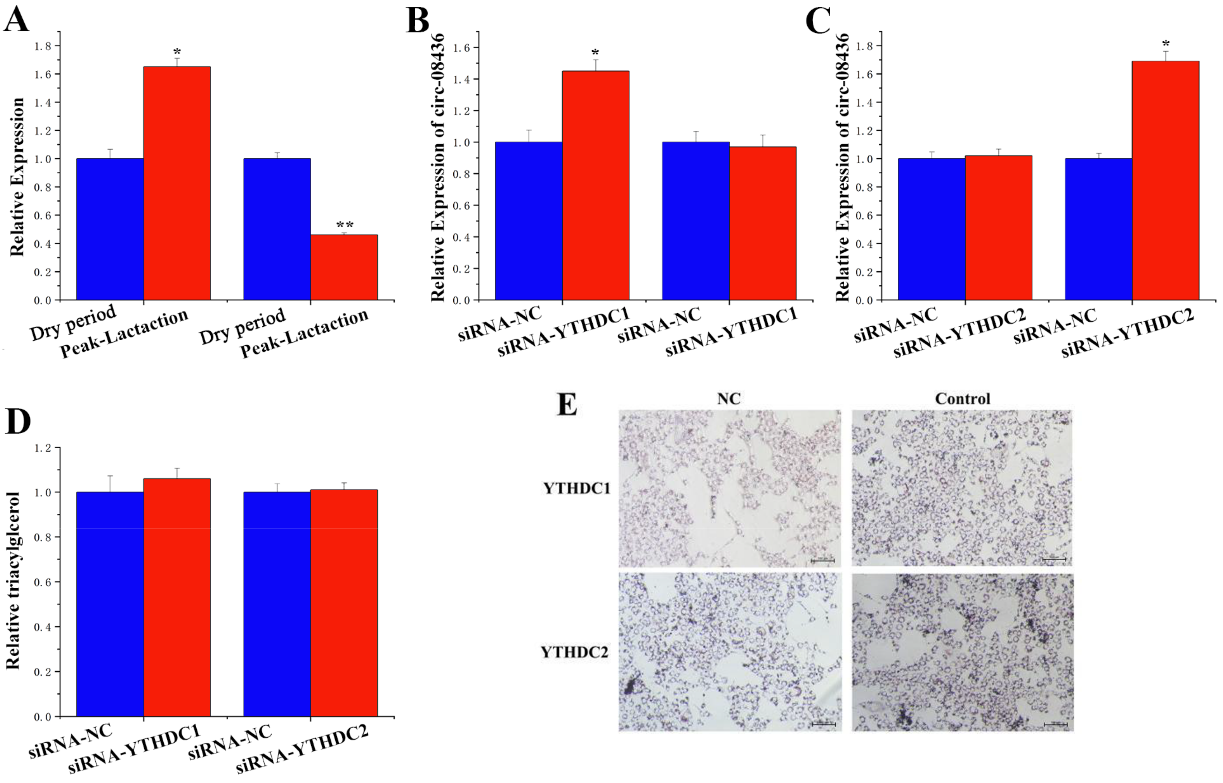 Animals 14 01715 g012