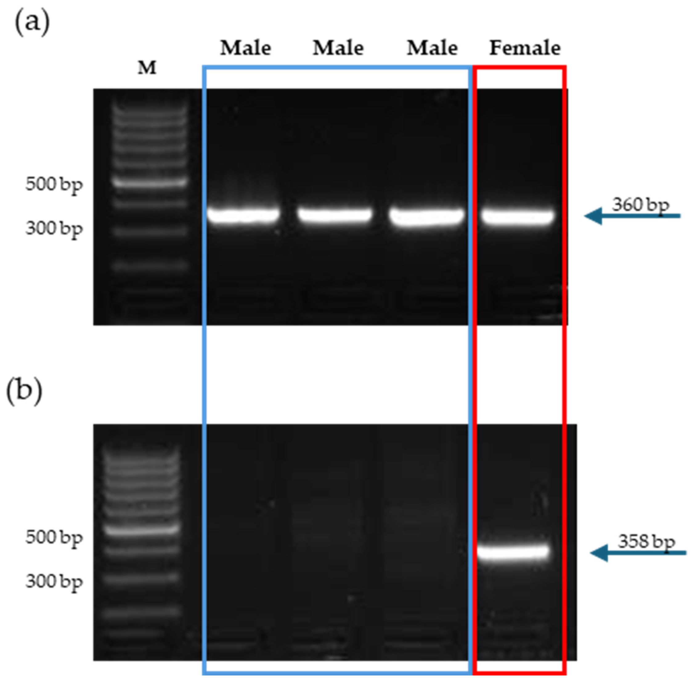 Animals 14 01719 g001
