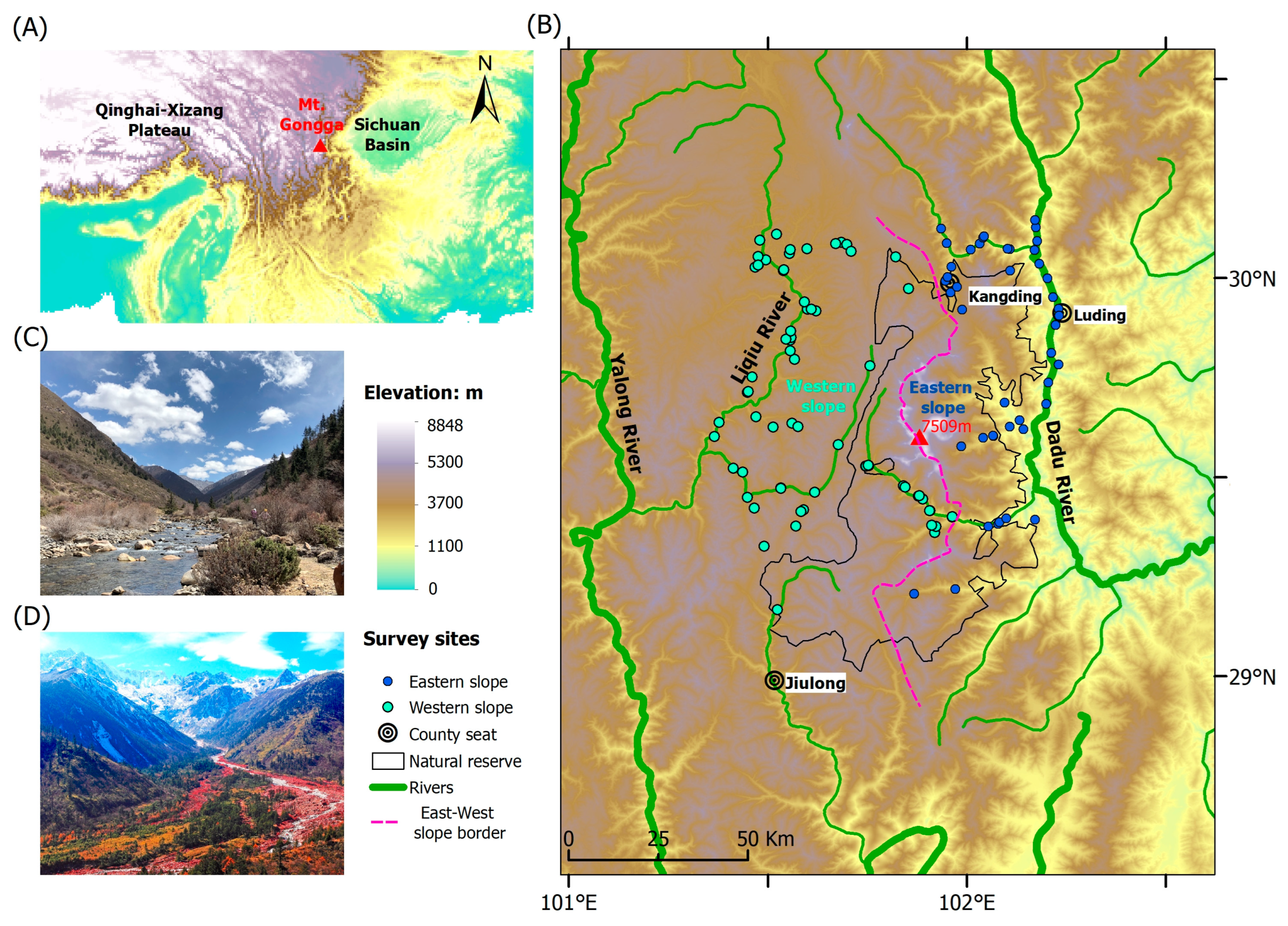 Animals 14 01723 g001