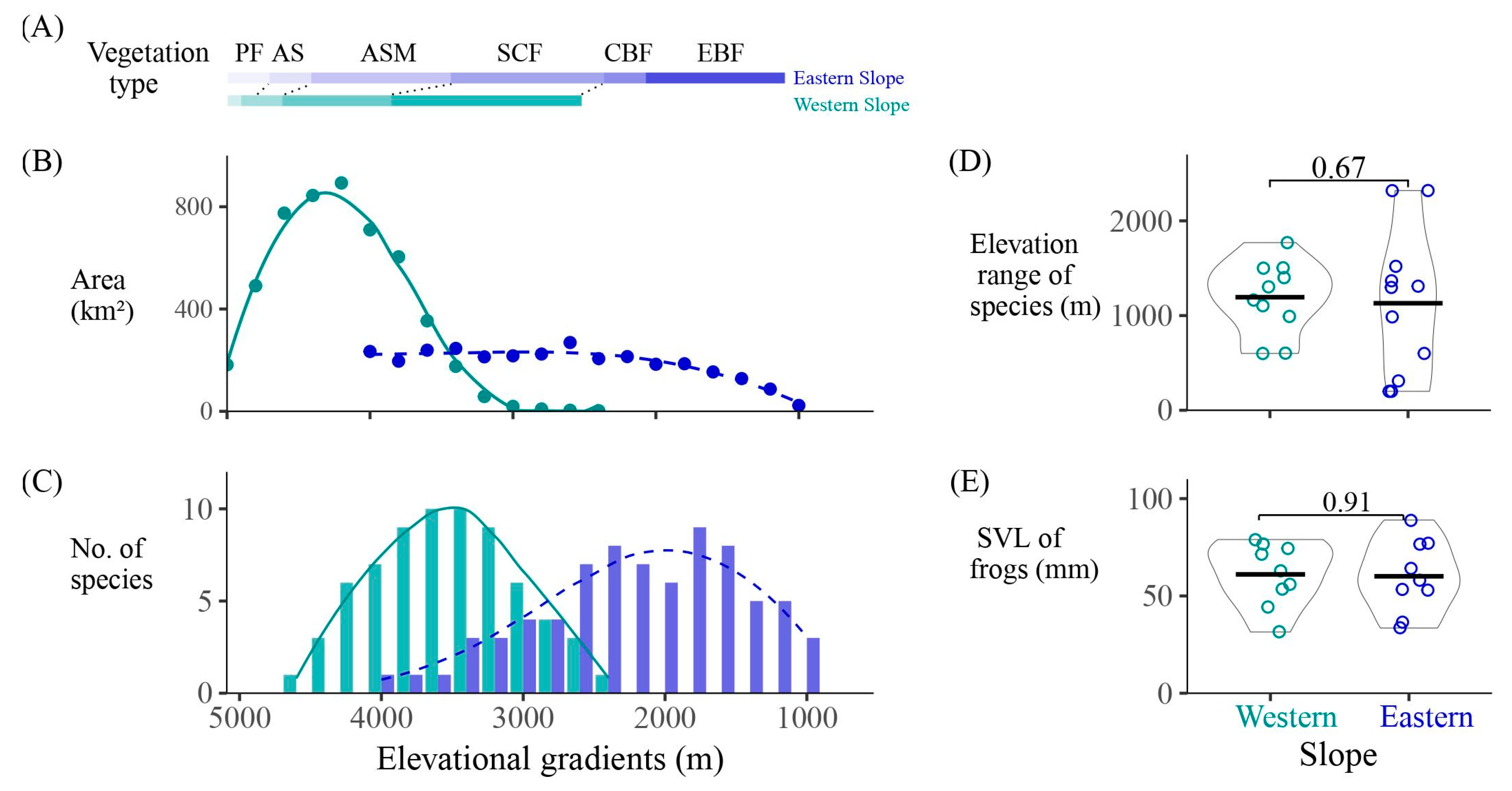 Animals 14 01723 g002