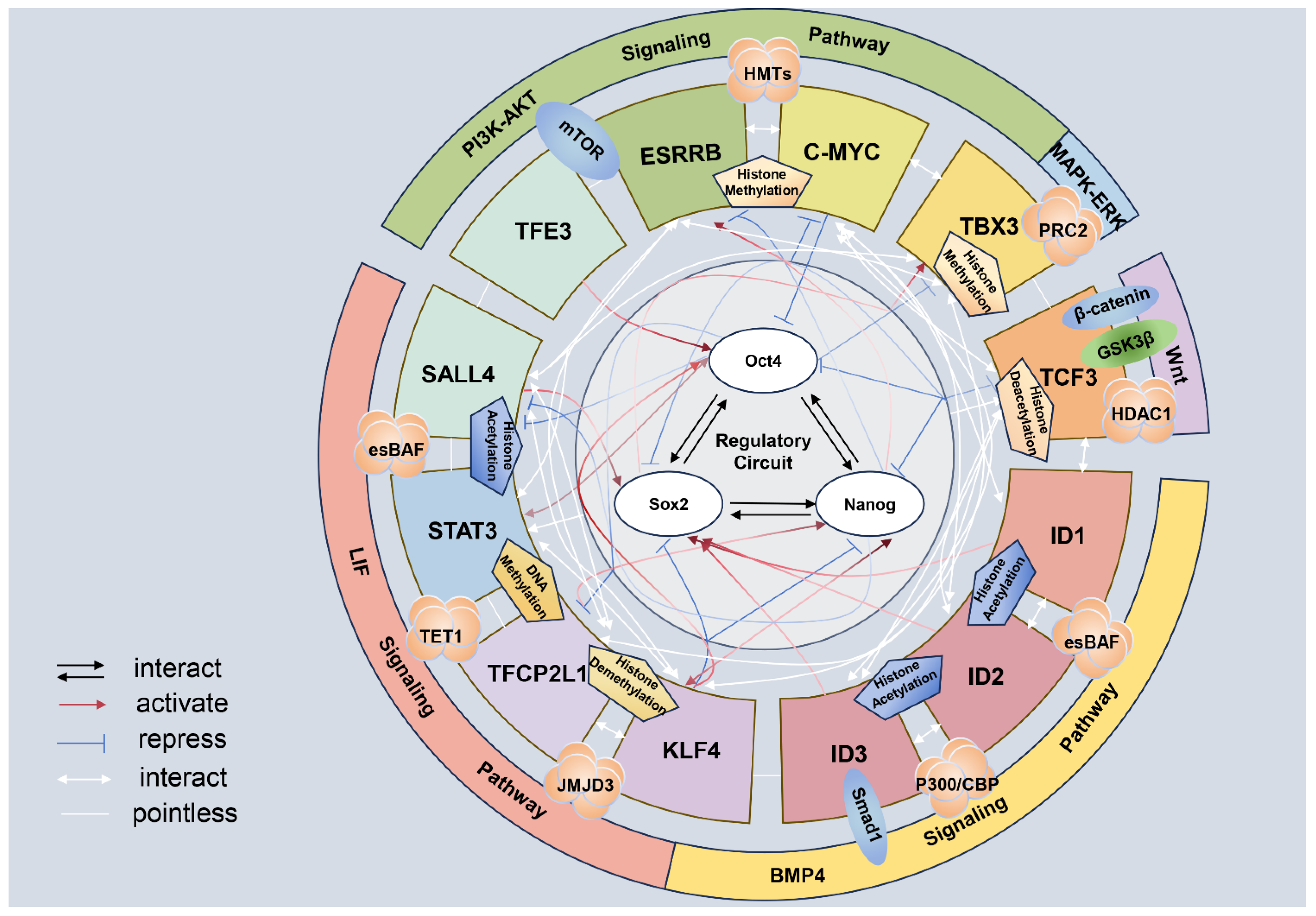 Animals 14 01742 g001
