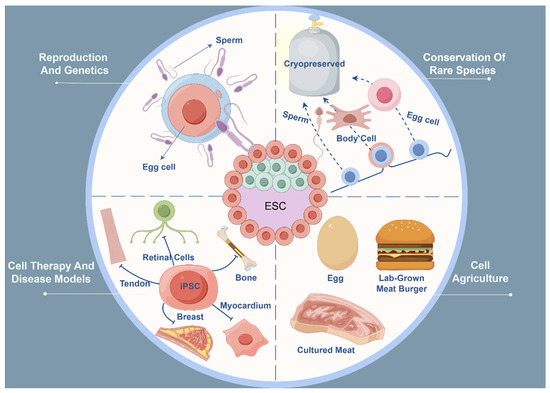 Animals 14 01742 g002