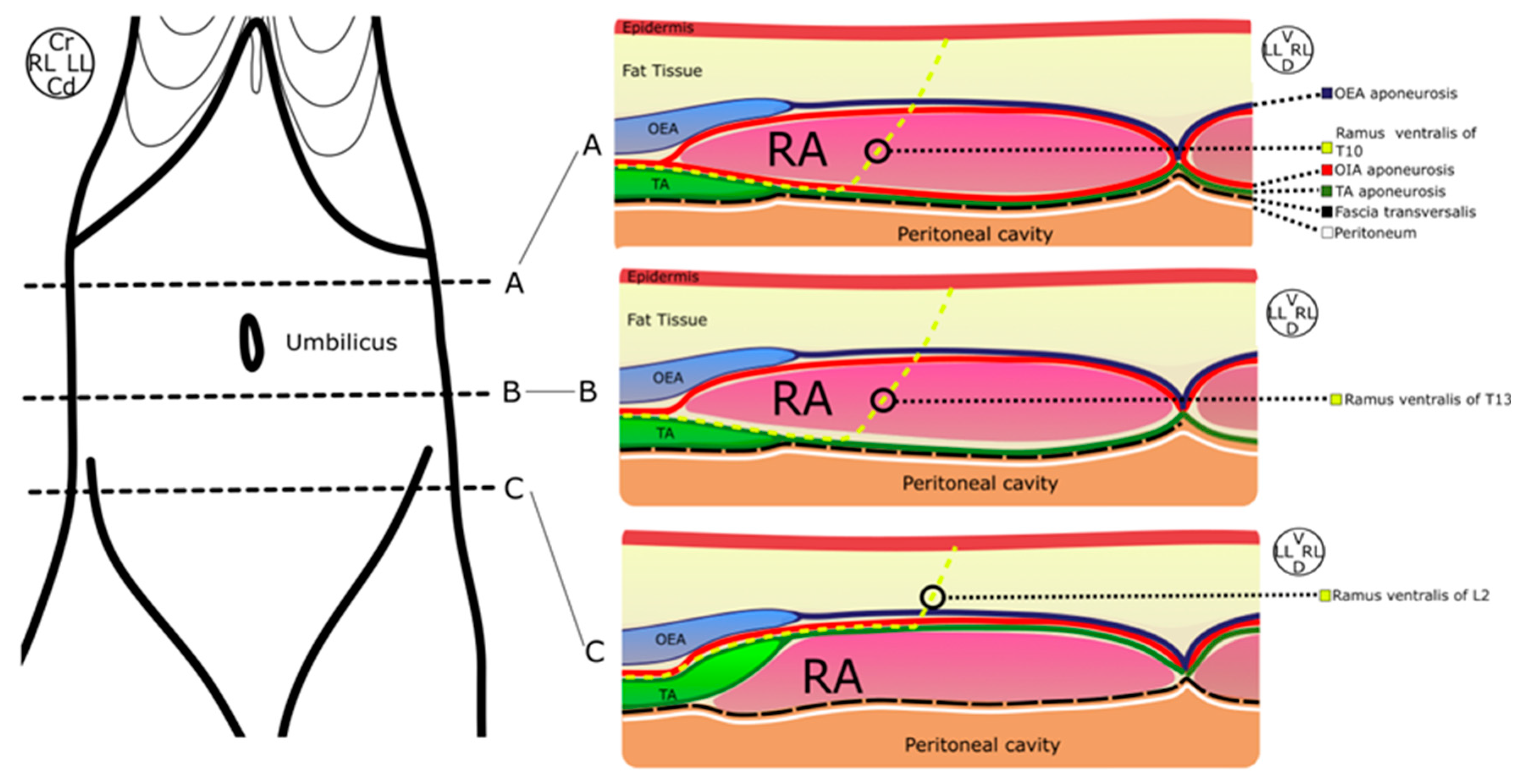 Animals 14 01743 g003