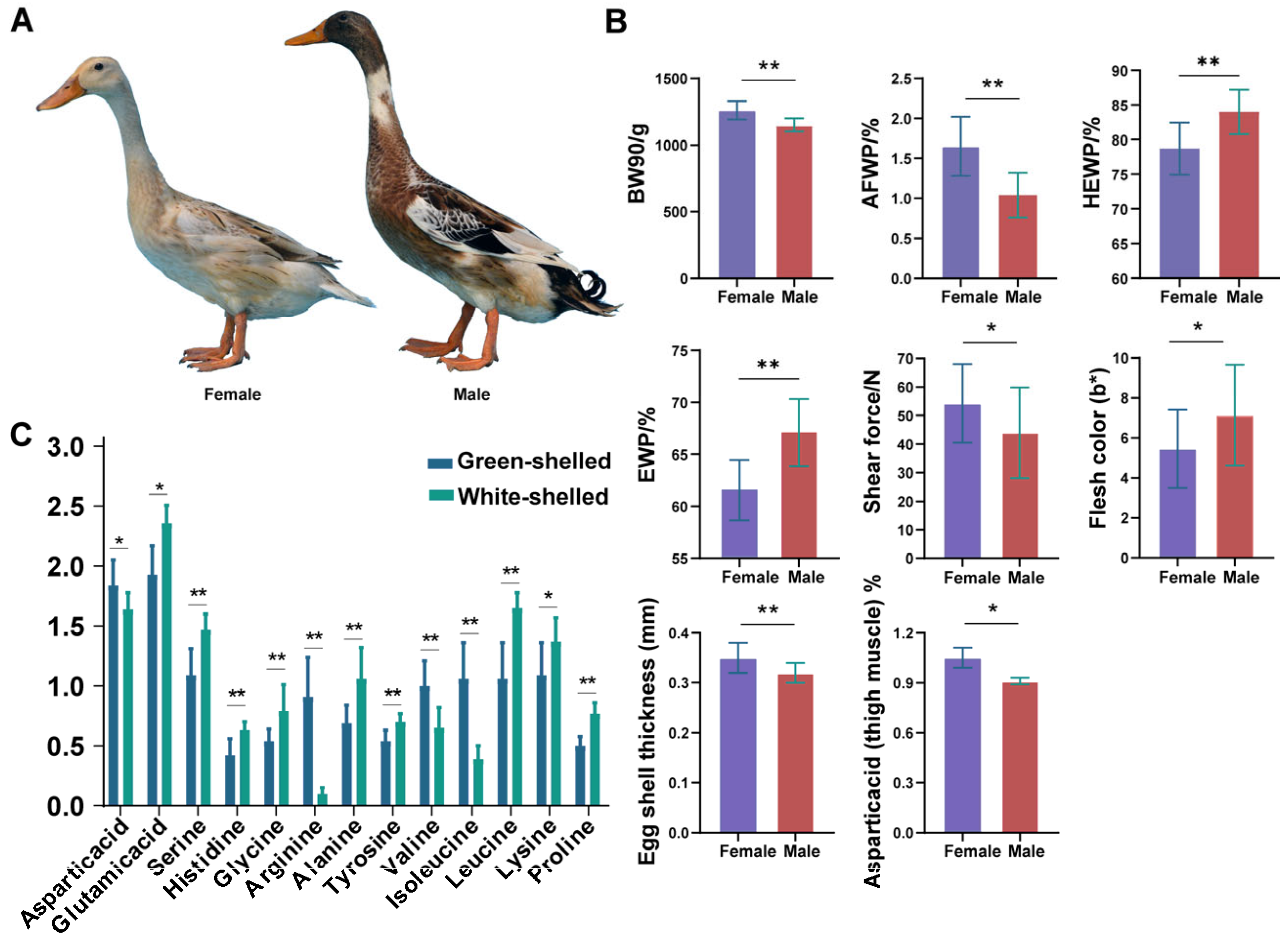 Animals 14 01747 g001