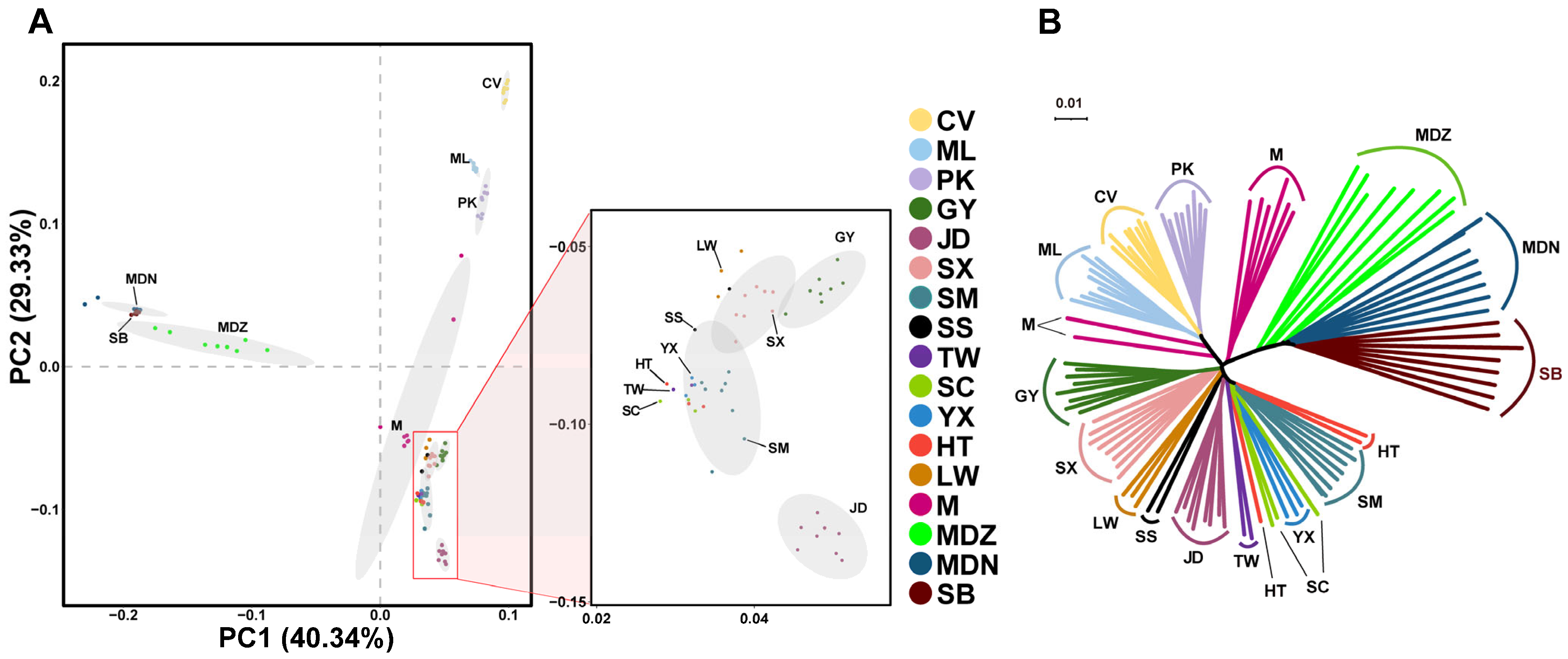 Animals 14 01747 g002