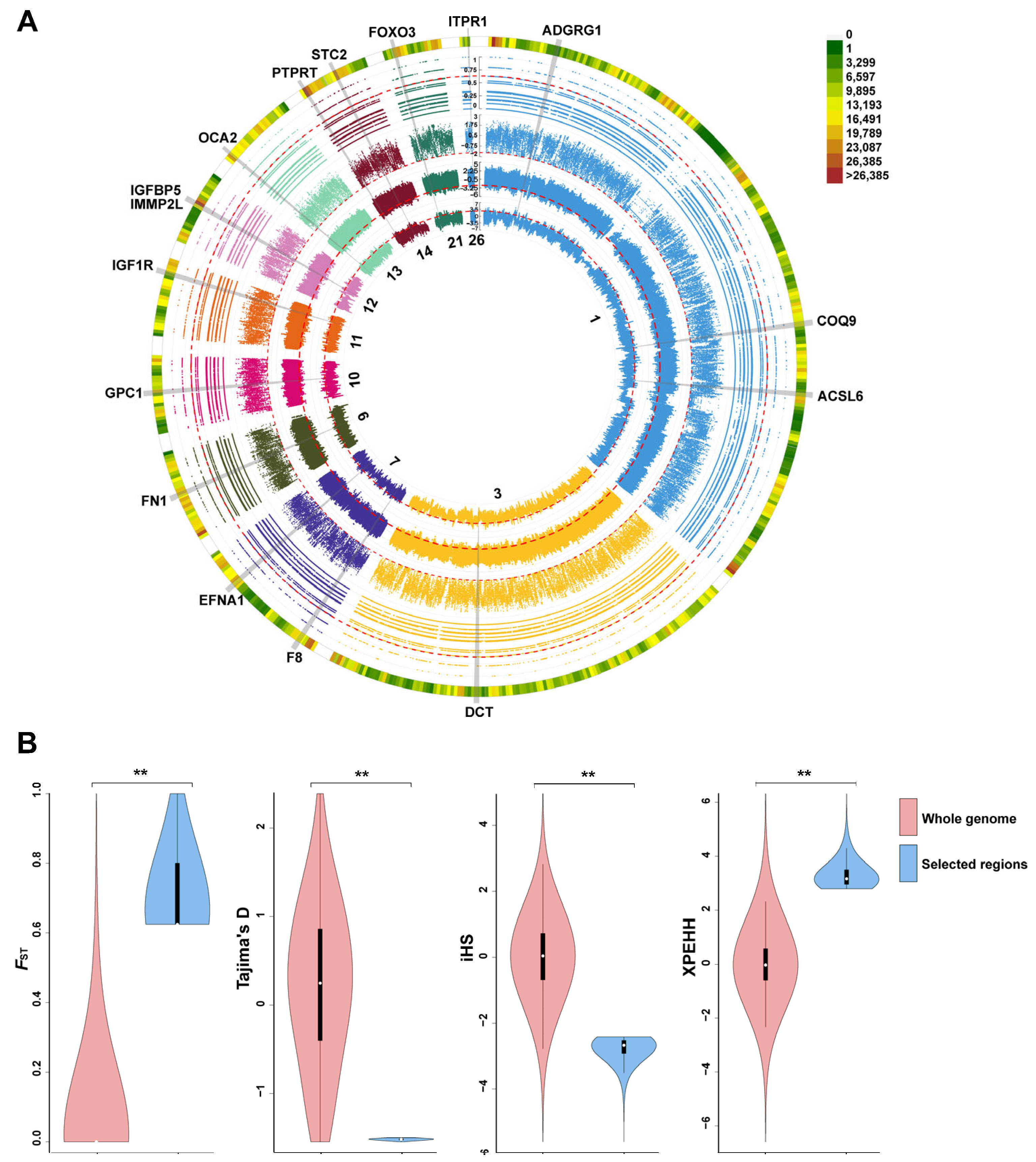 Animals 14 01747 g006