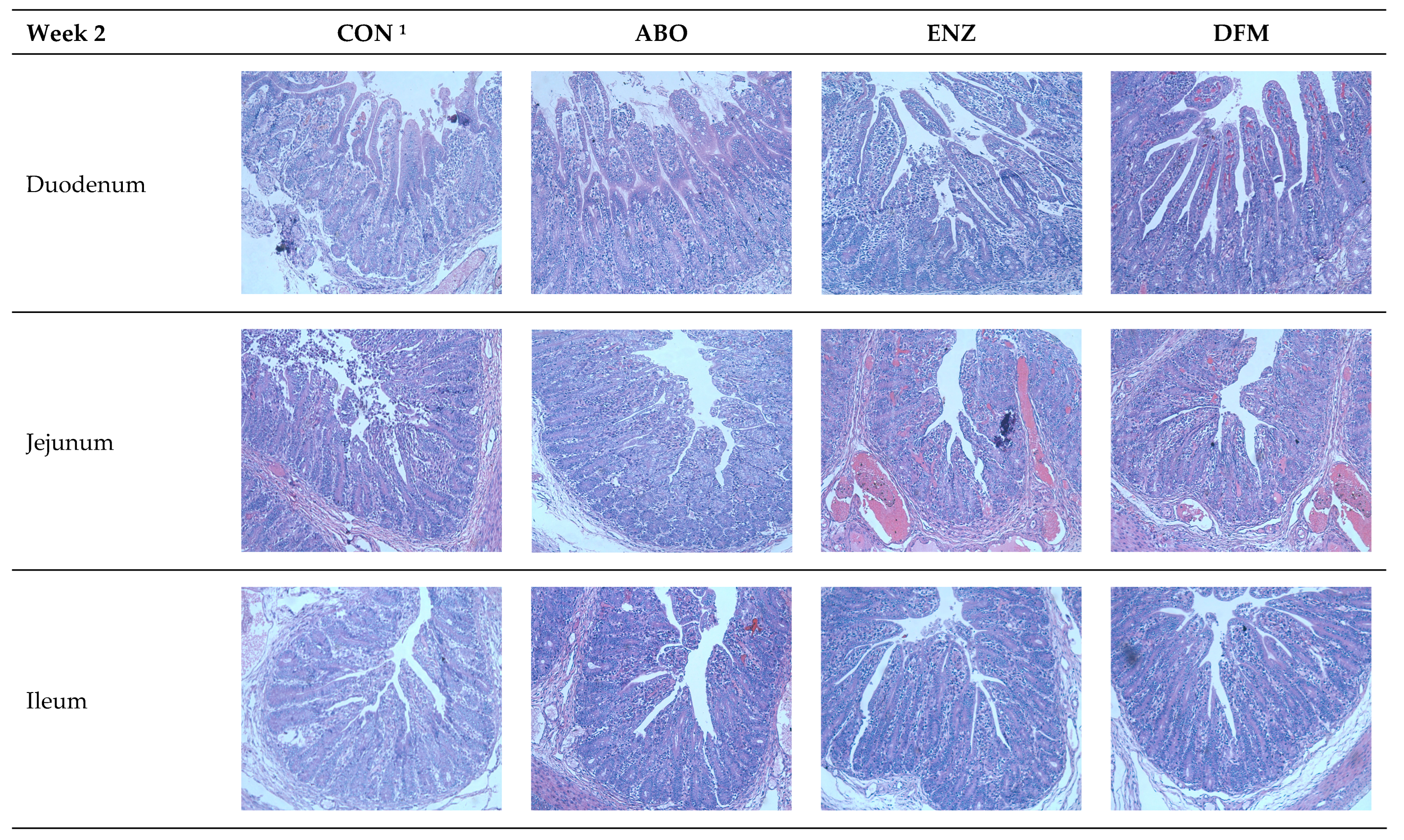 Animals 14 01749 g002a
