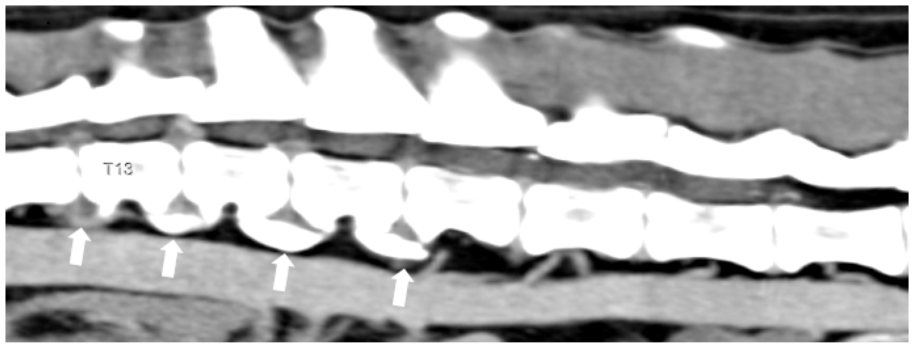 Animals 14 01753 g003