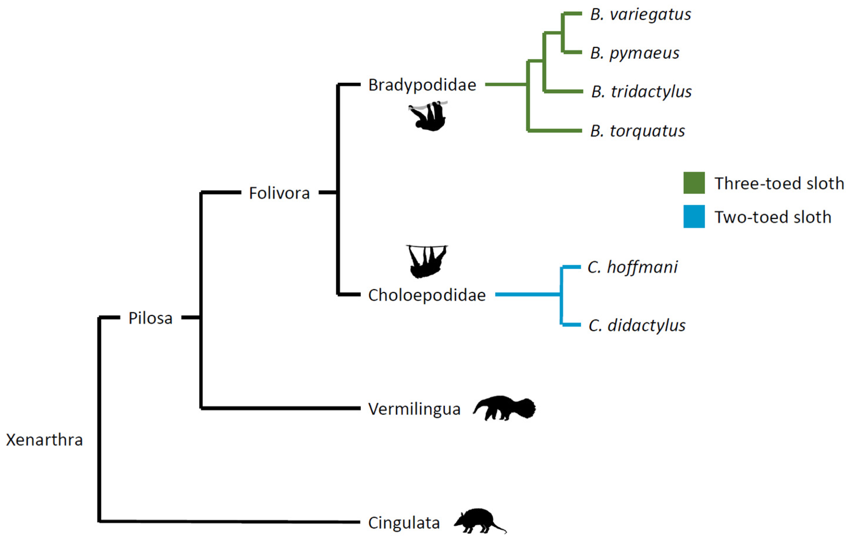 Animals 14 01768 g001