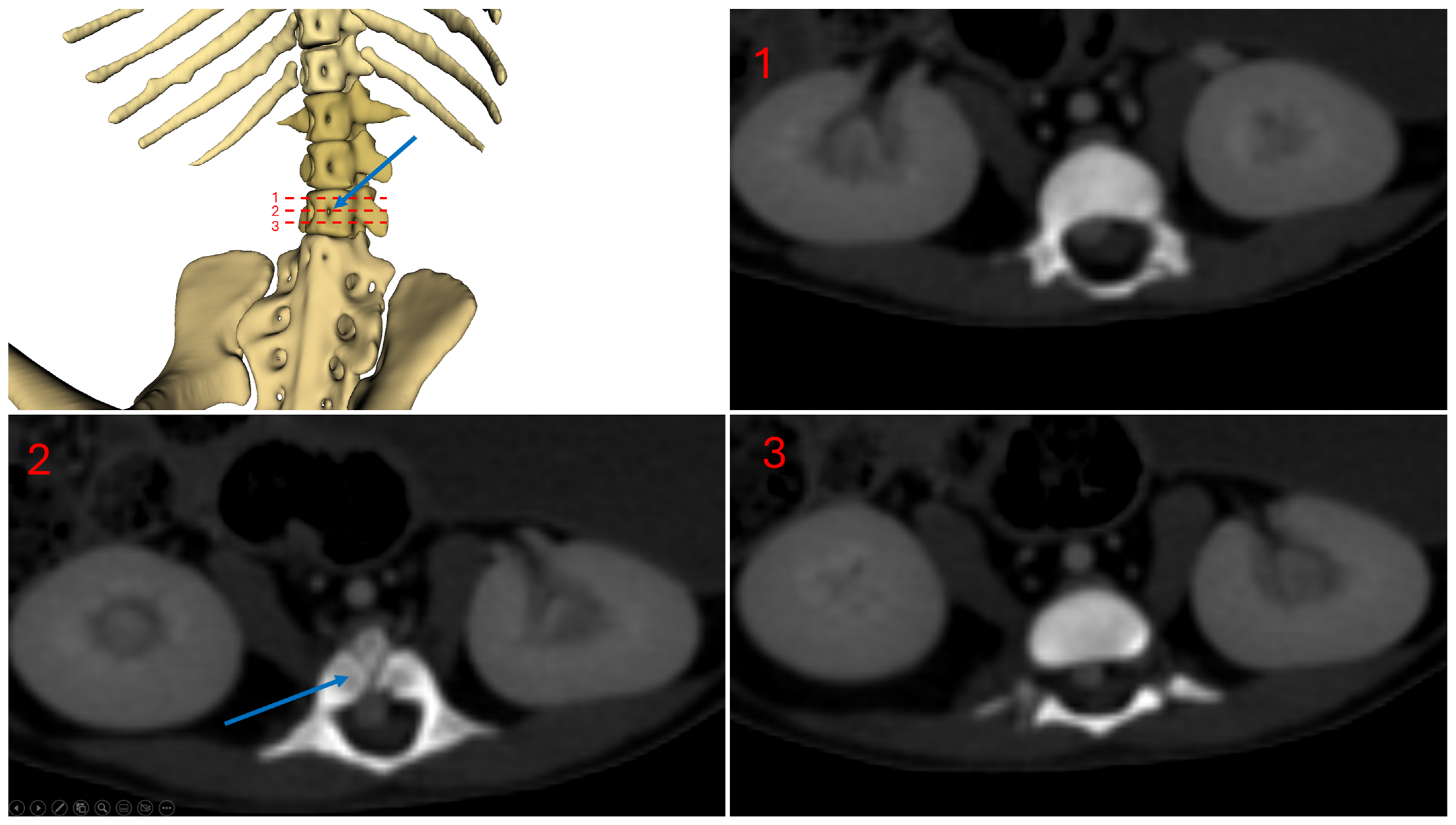 Animals 14 01768 g005