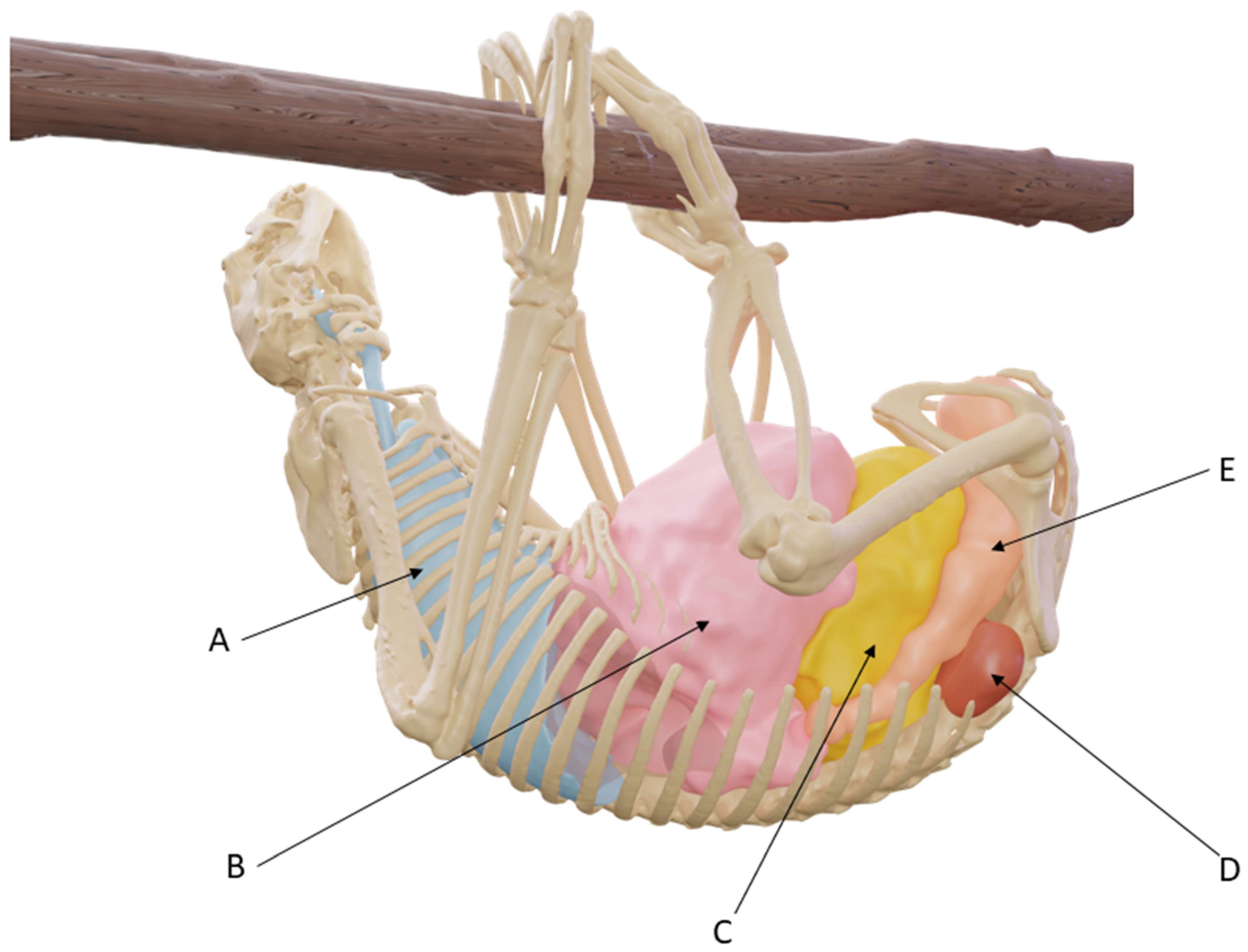 Animals 14 01768 g007