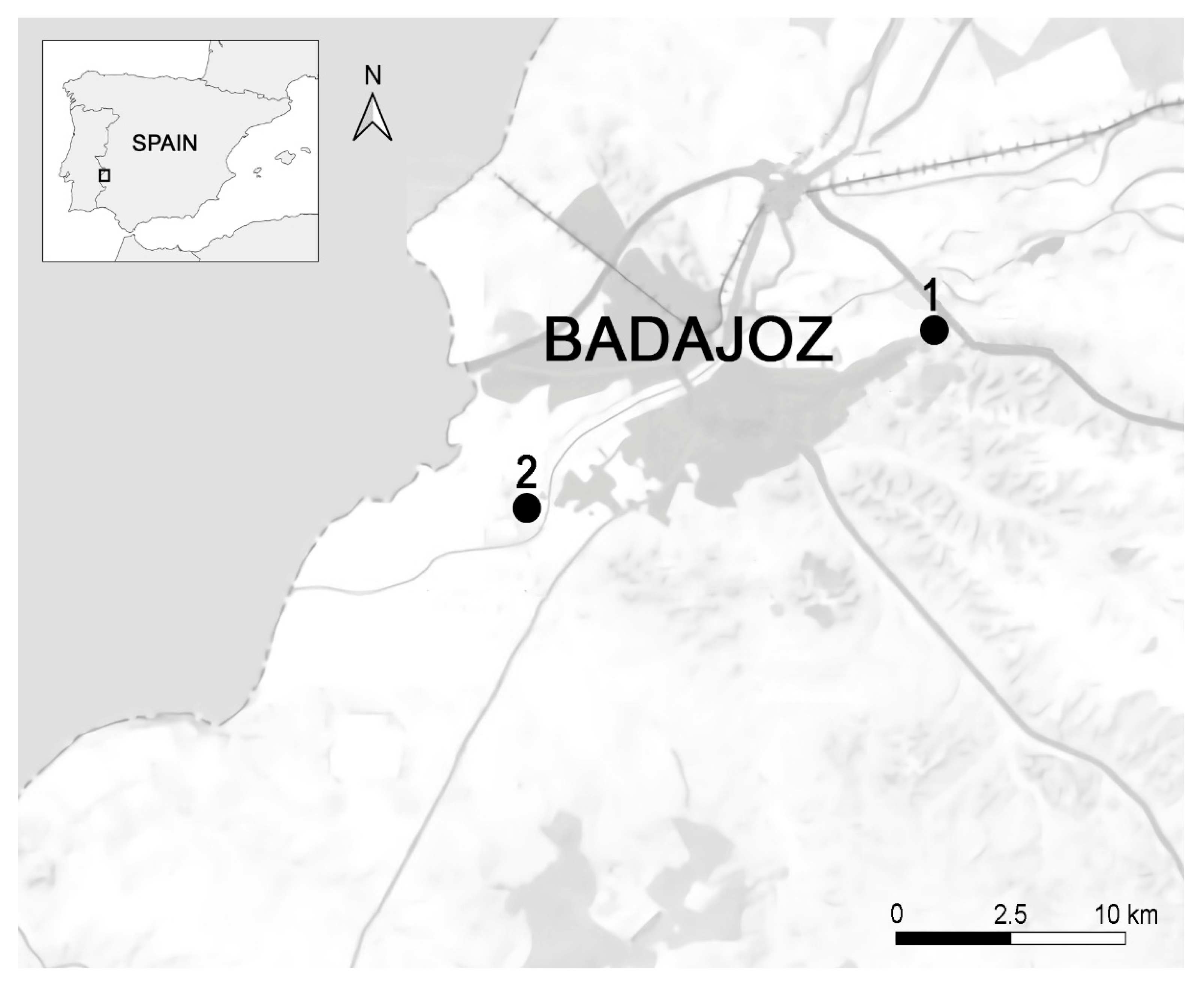 Animals 14 01772 g001