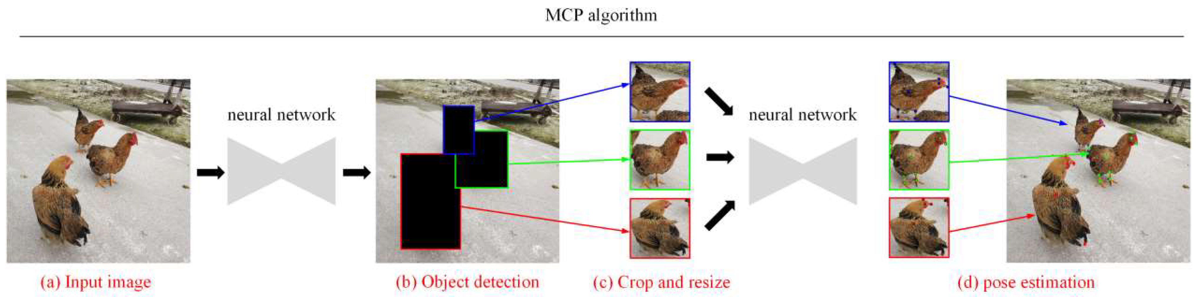 Animals 14 01774 g003