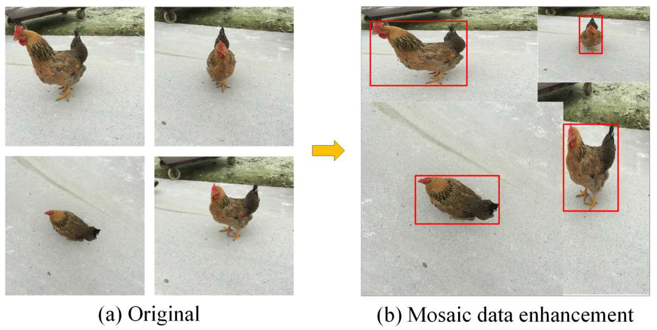 Animals 14 01774 g005