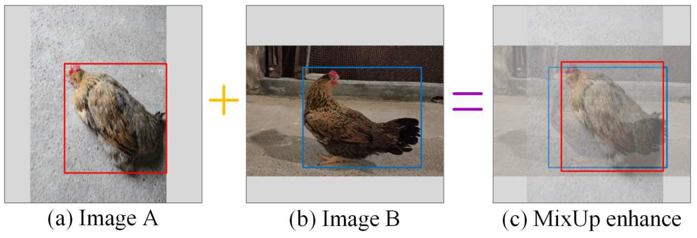 Animals 14 01774 g006