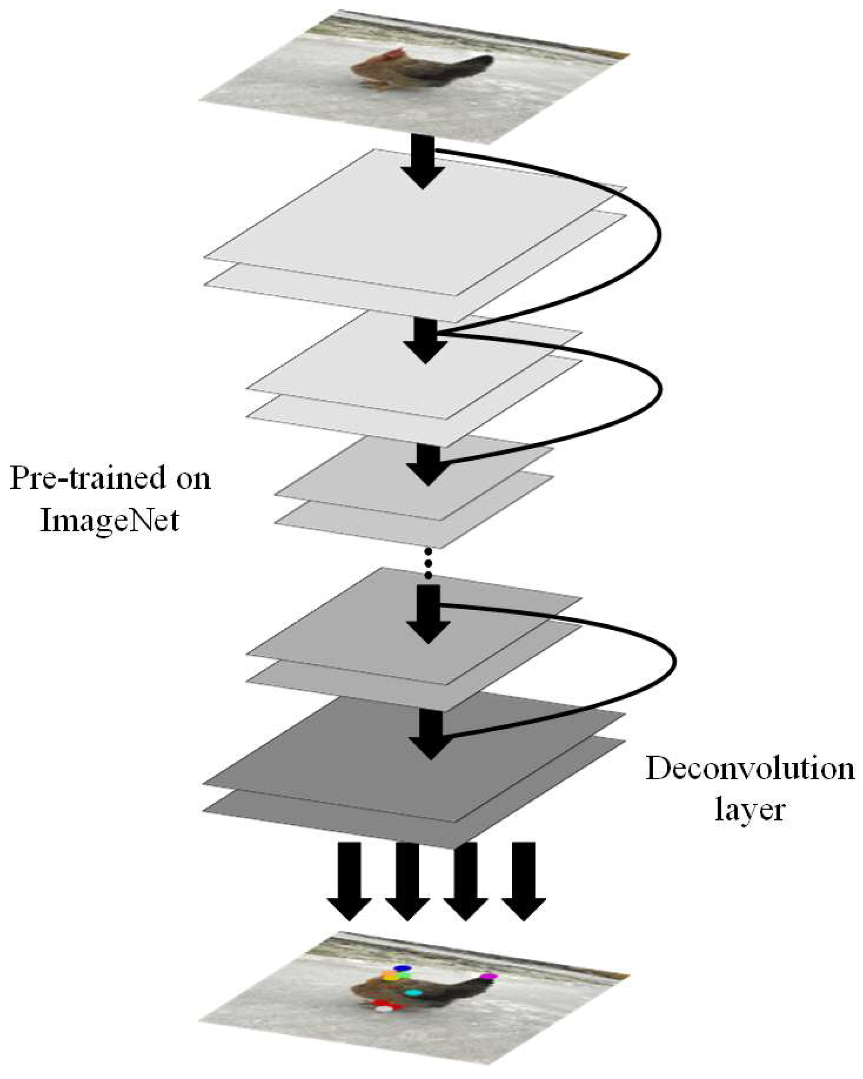 Animals 14 01774 g007