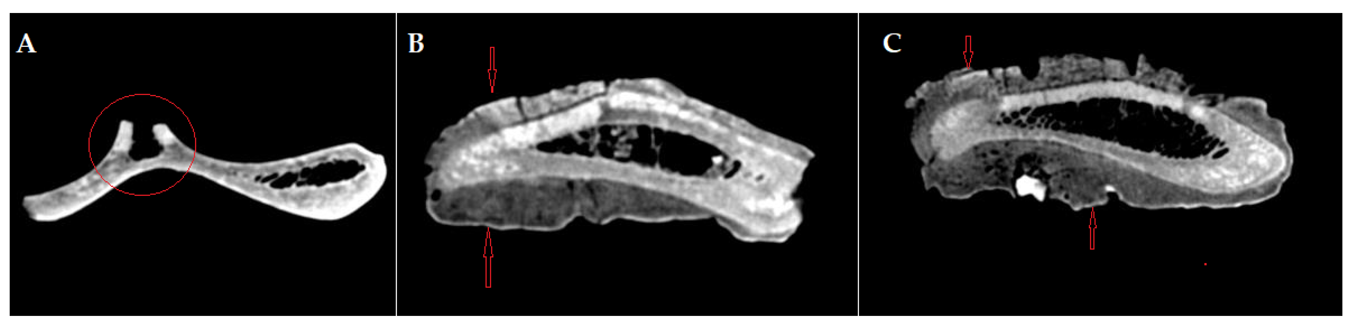 Animals 14 01775 g003