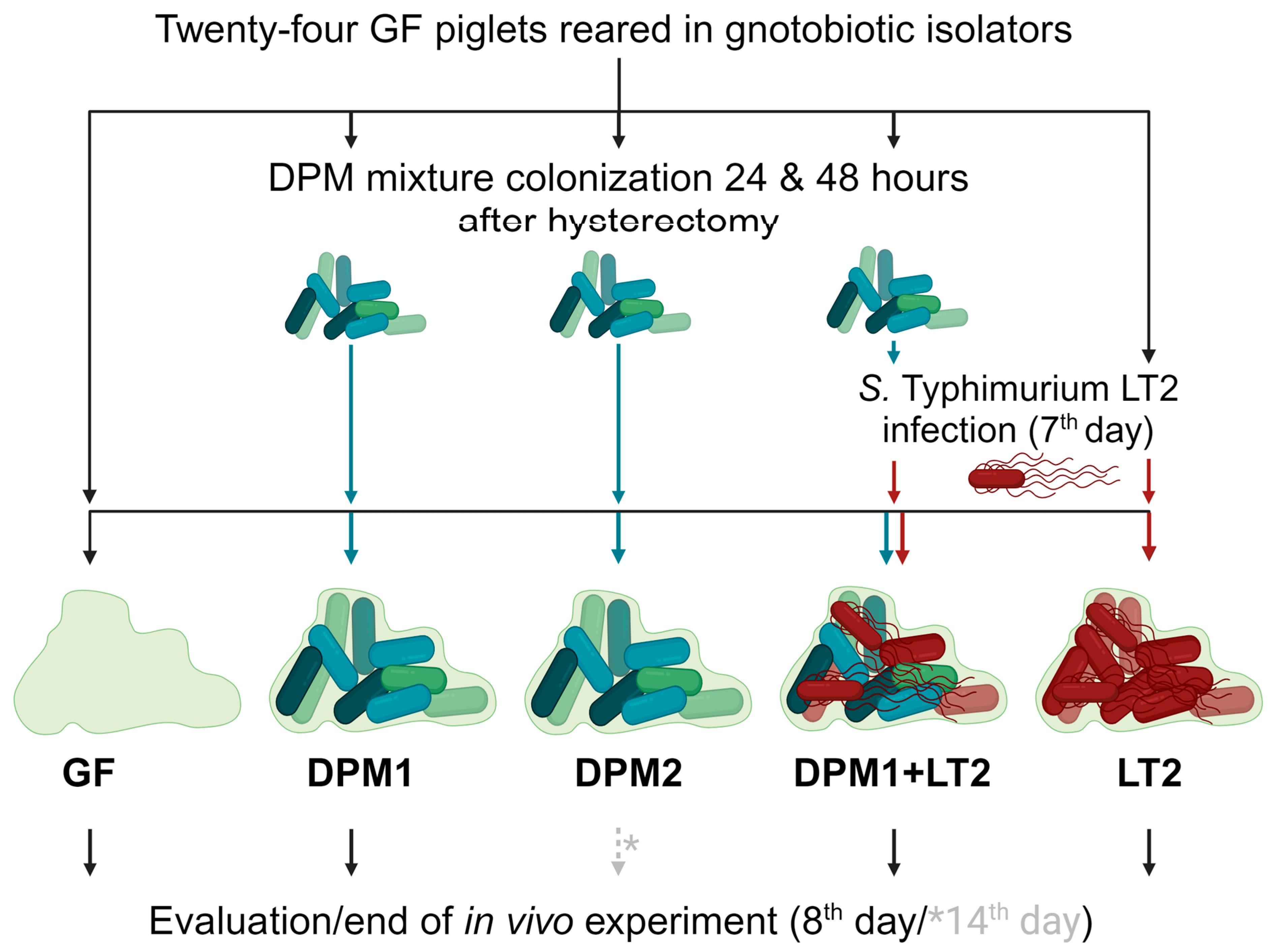 Animals 14 01779 g001