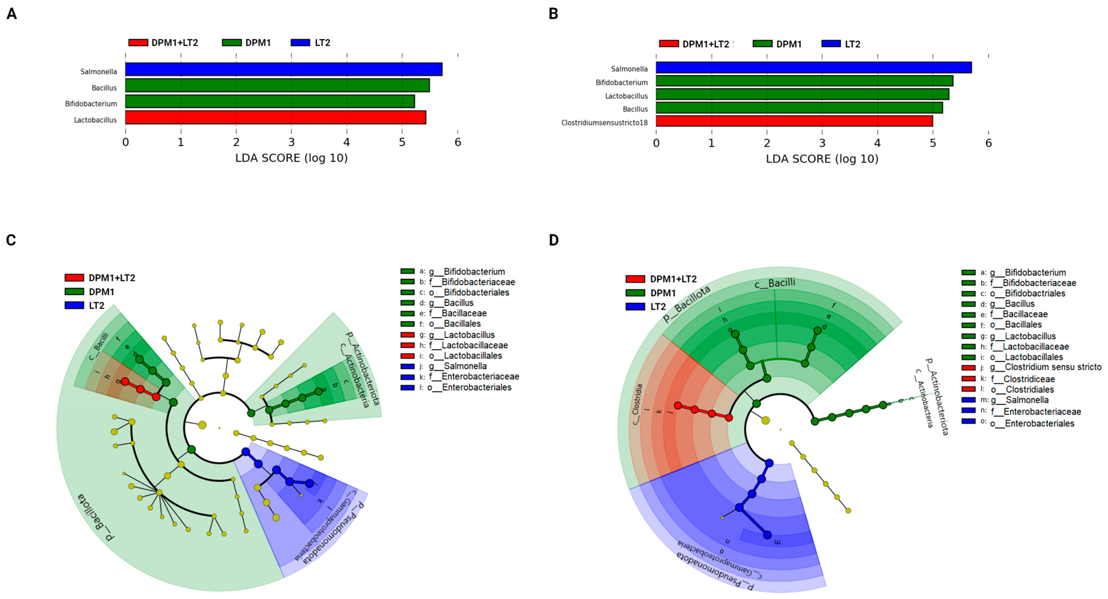 Animals 14 01779 g005