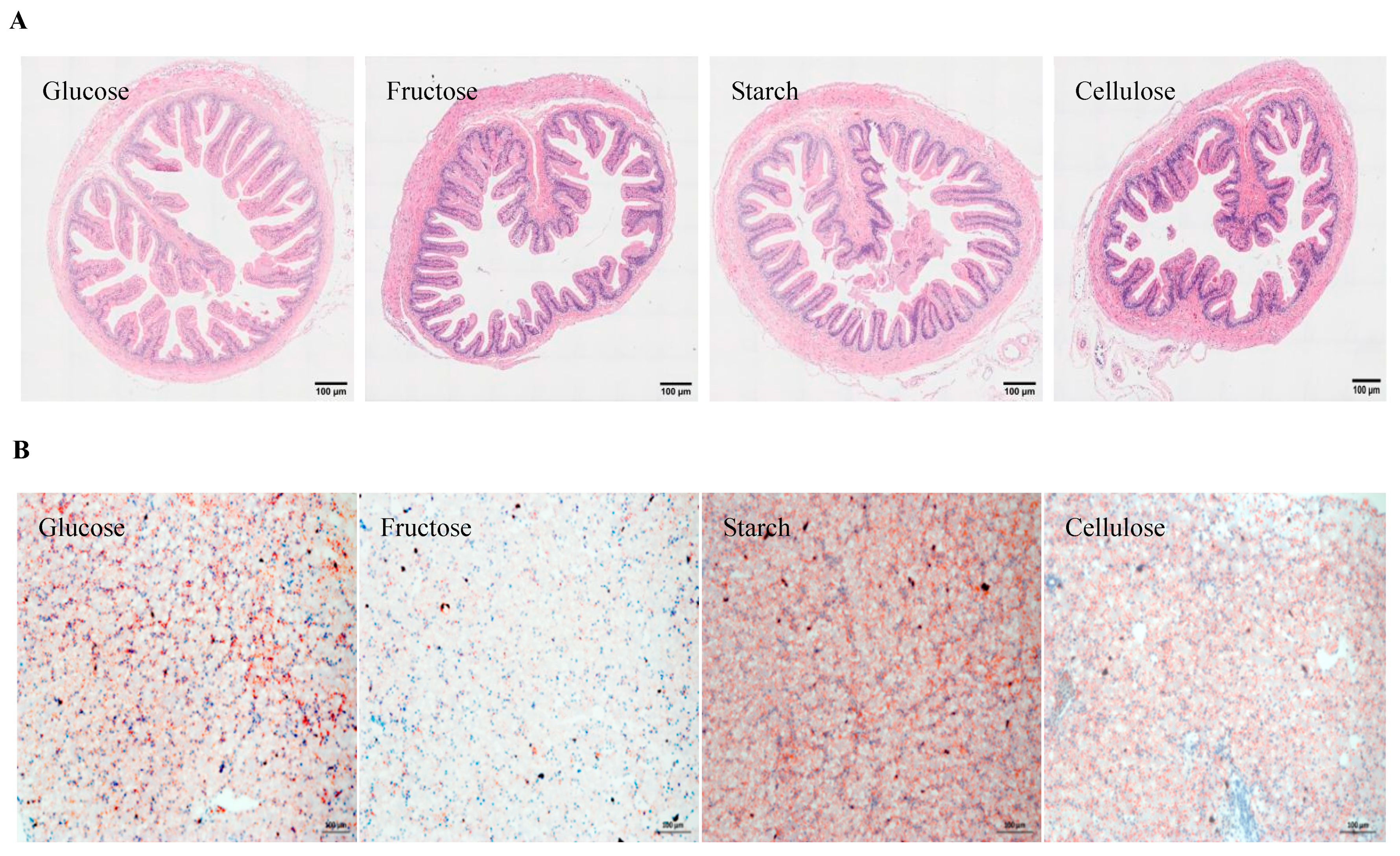 Animals 14 01781 g001