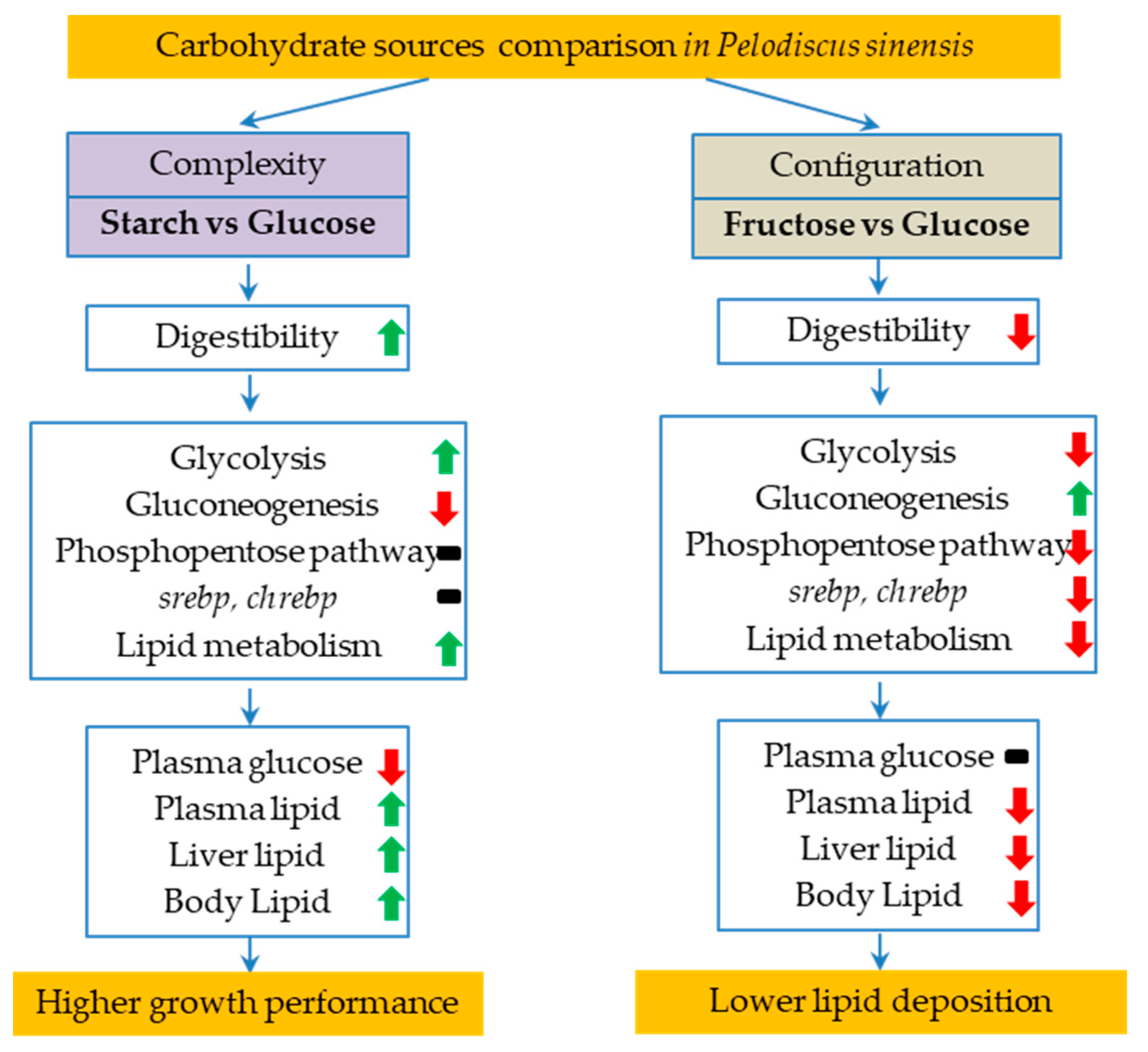 Animals 14 01781 g006