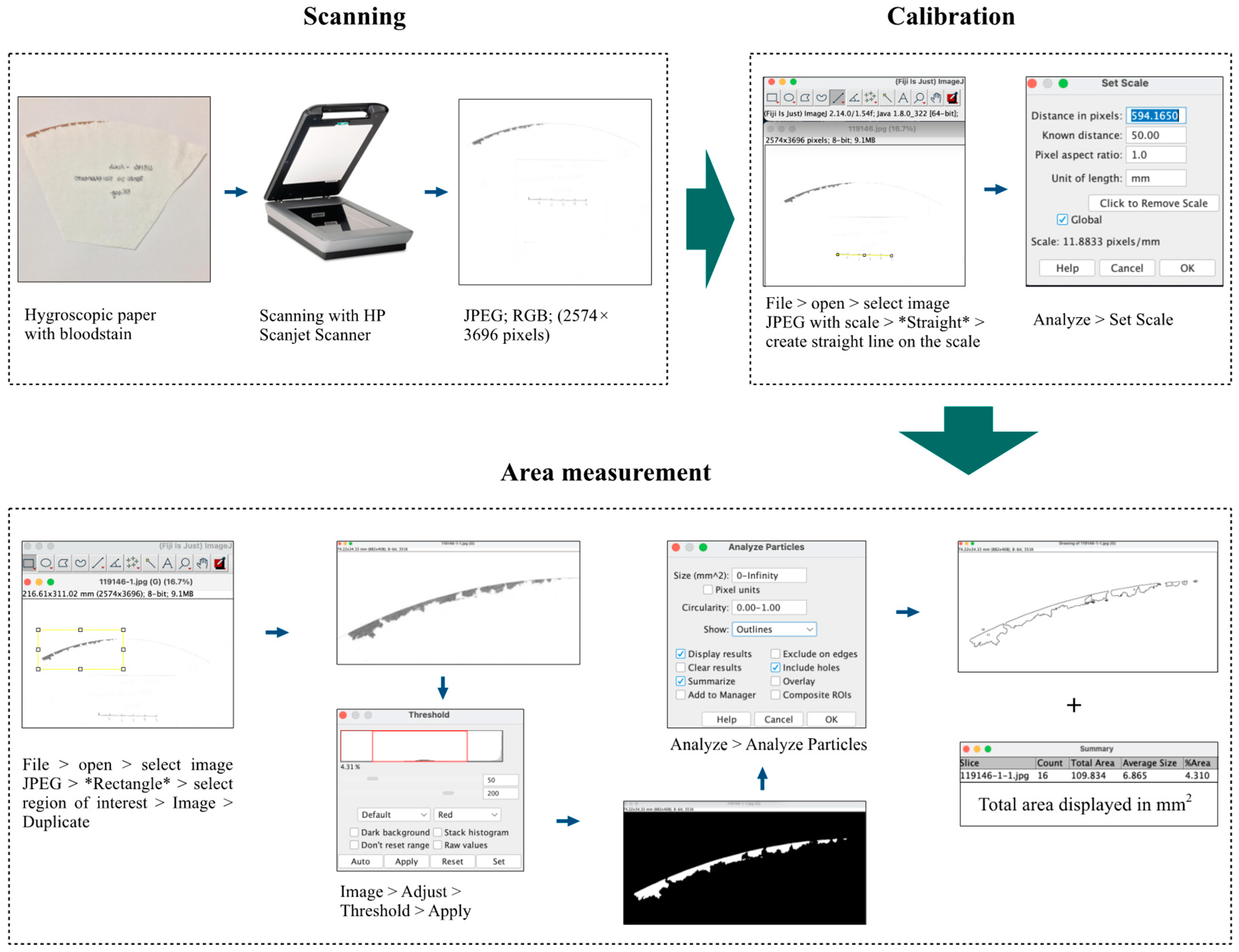 Animals 14 01785 g001