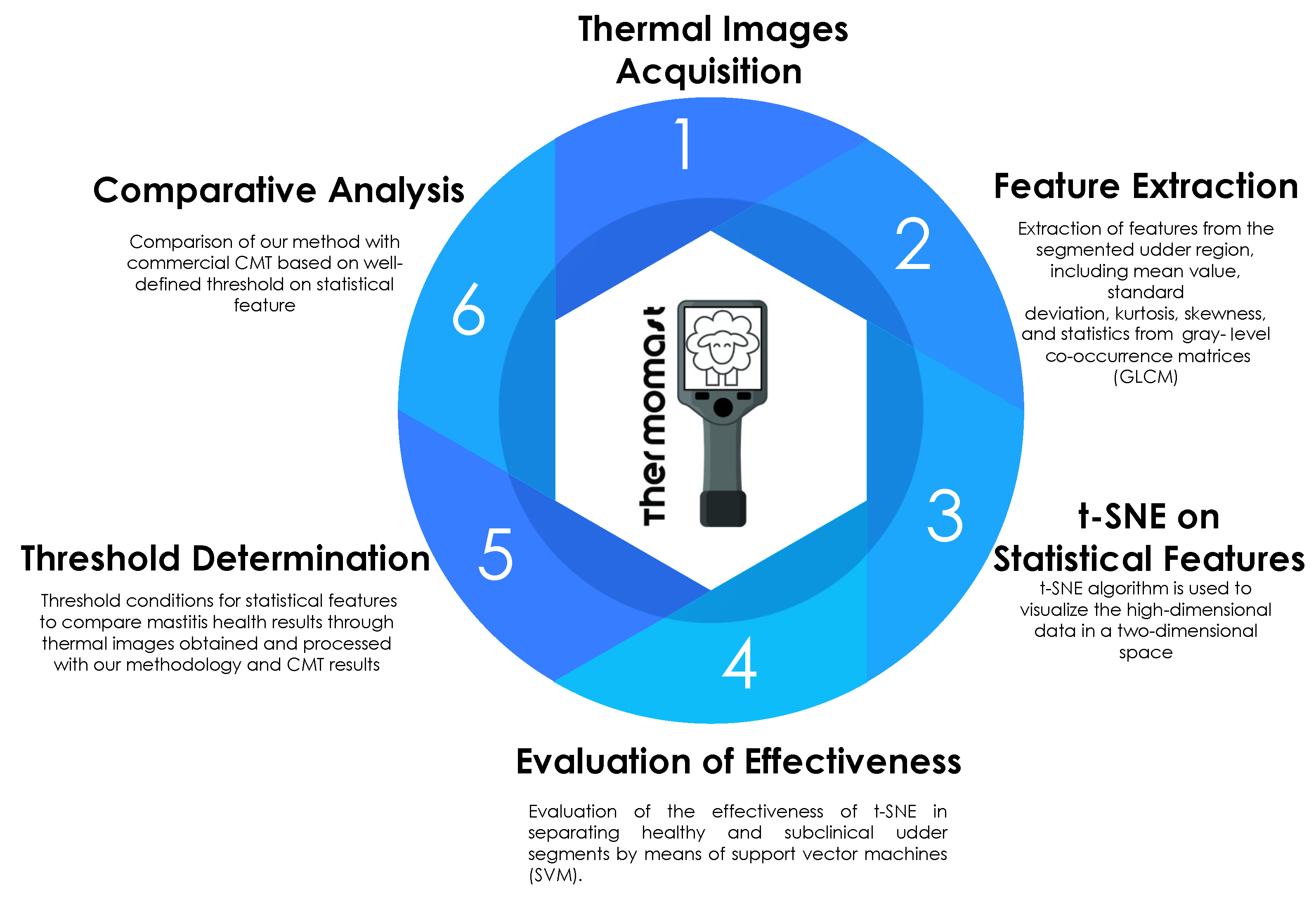 Animals 14 01797 g001