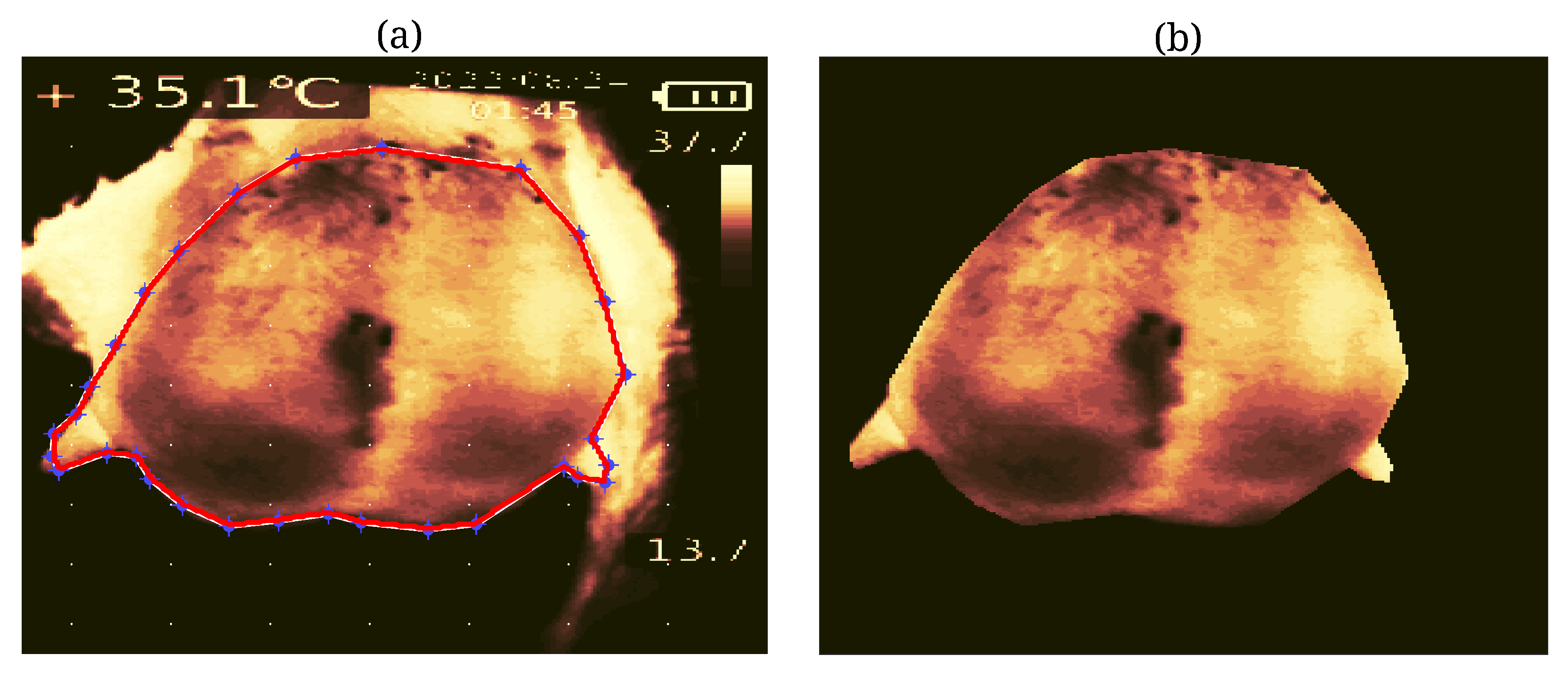 Animals 14 01797 g003