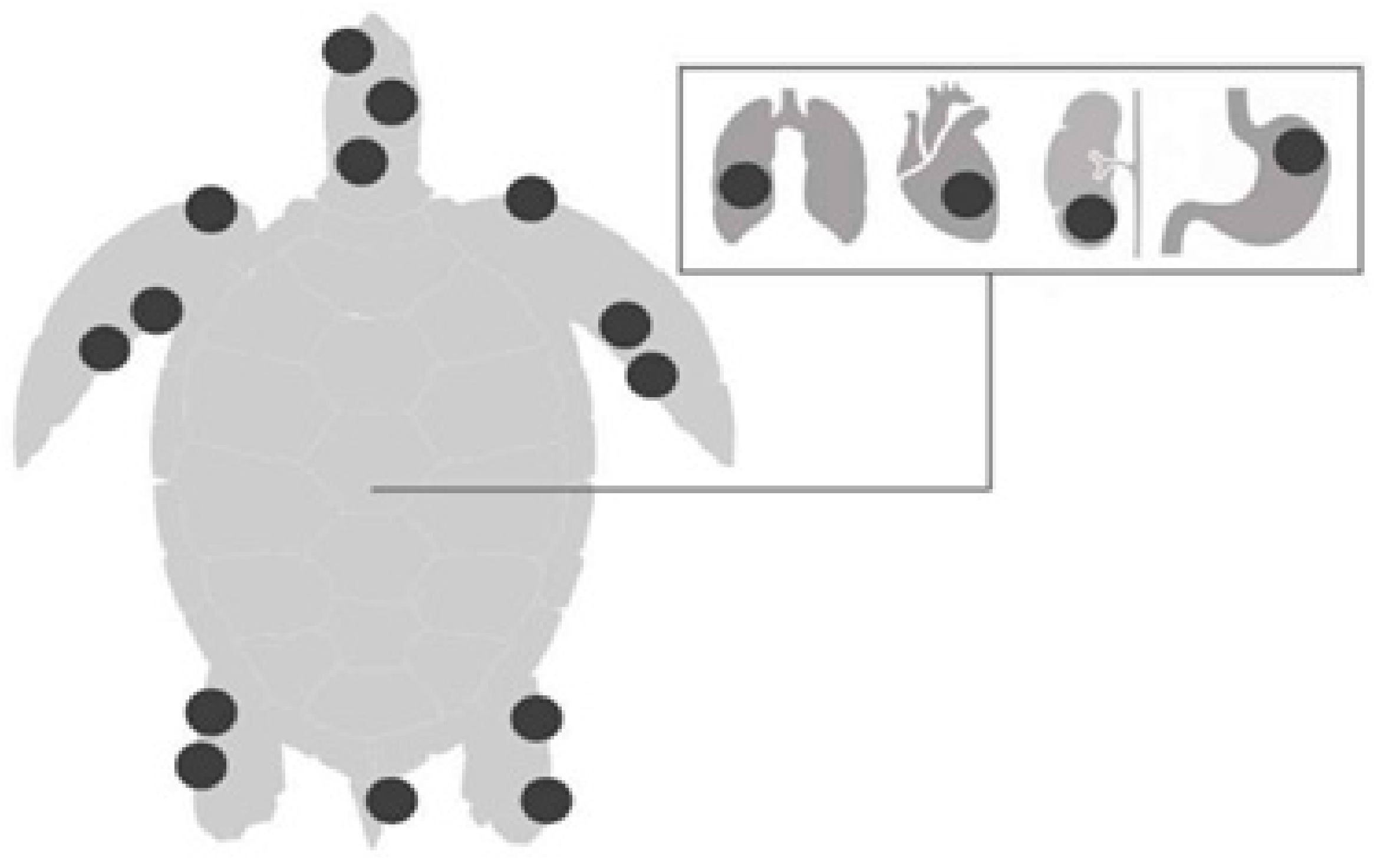 Animals 14 01809 g002