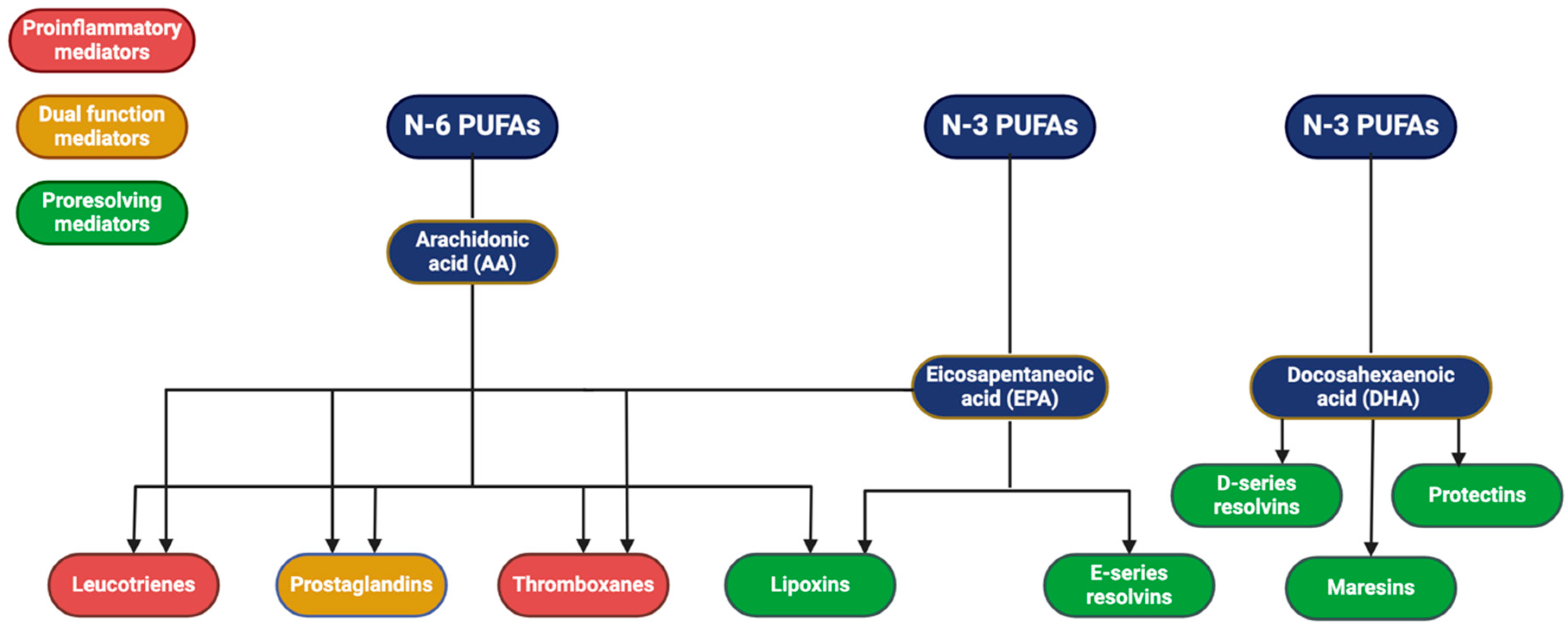 Animals 14 01812 g002