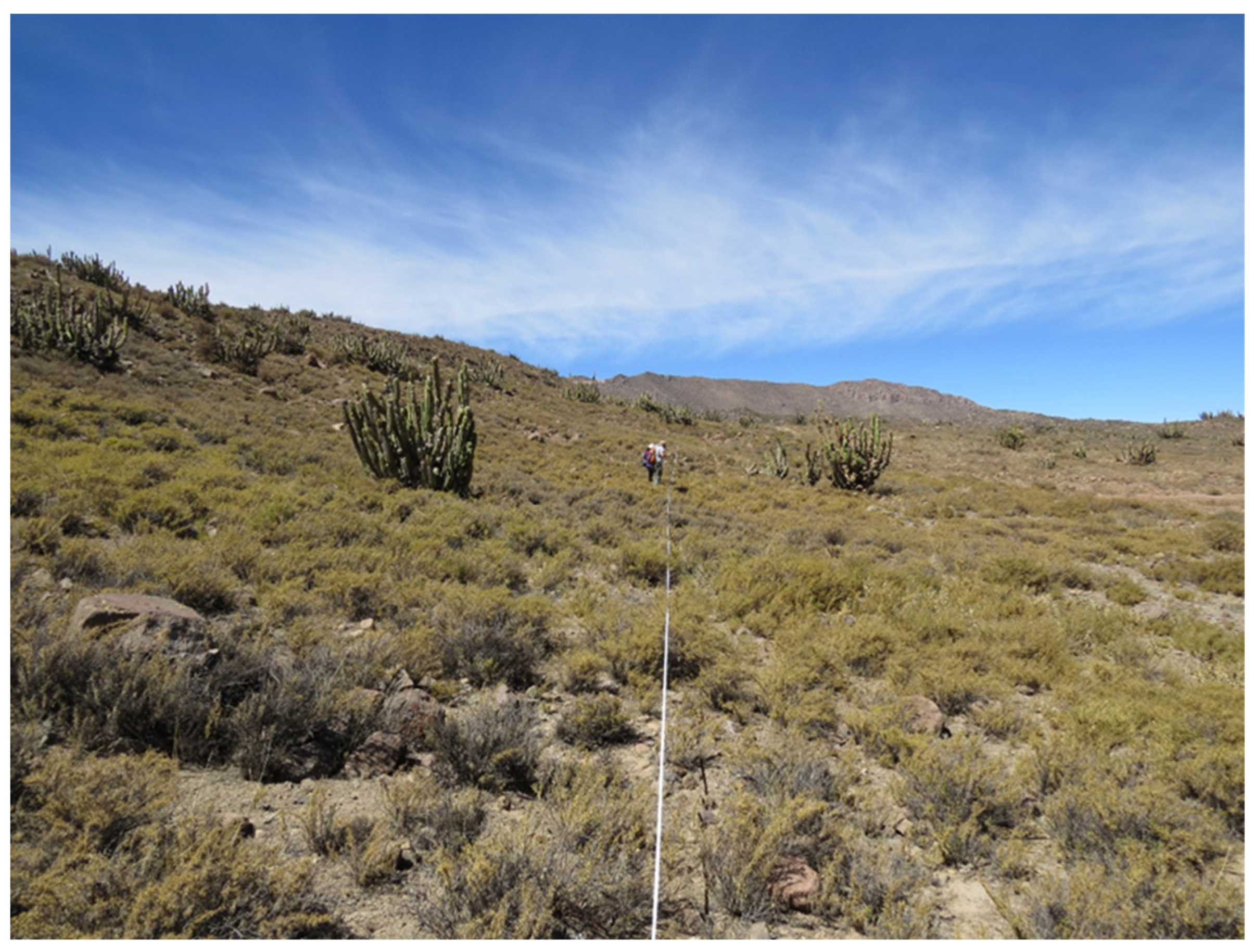 Animals 14 01814 g003