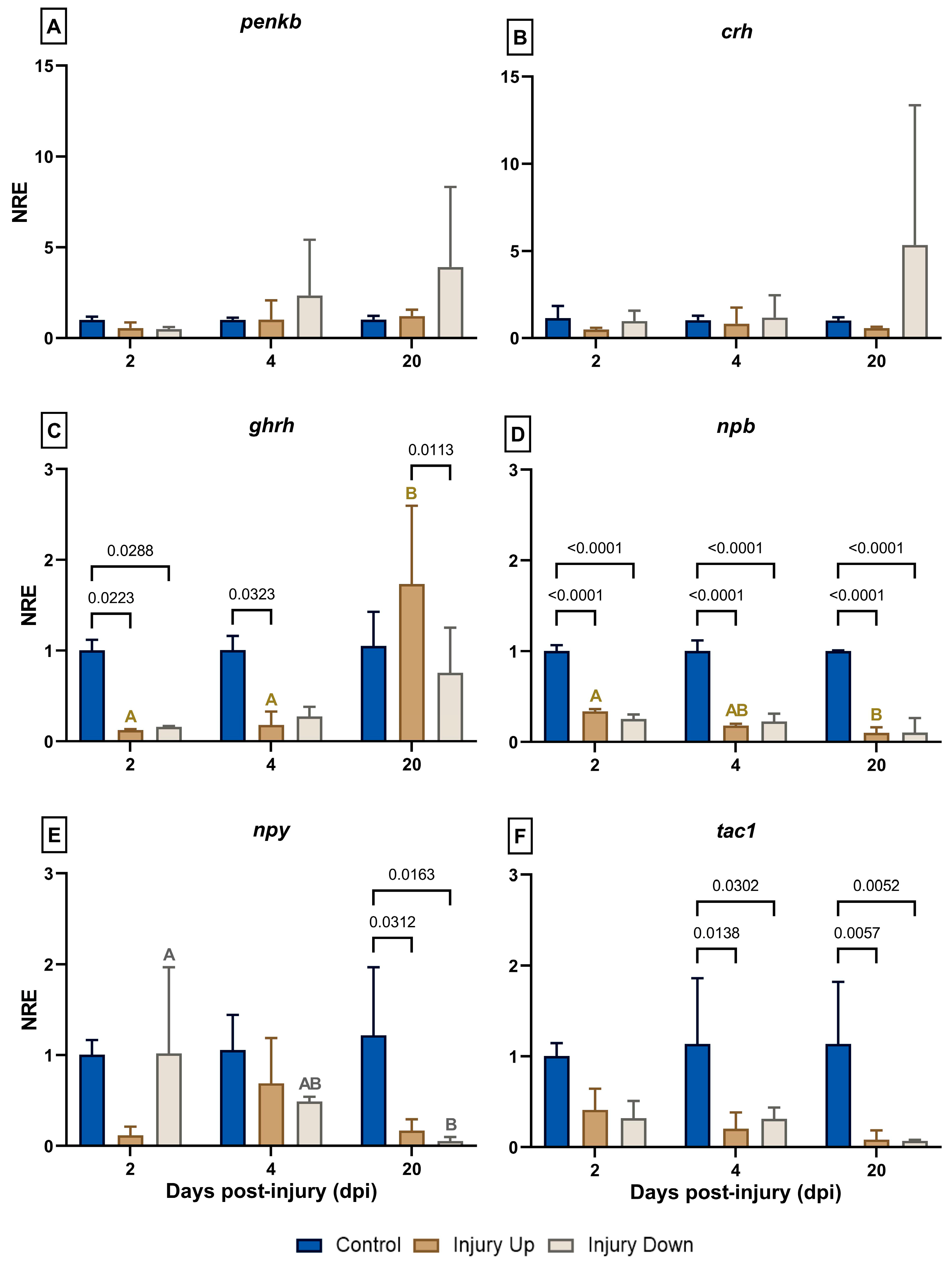 Animals 14 01815 g001