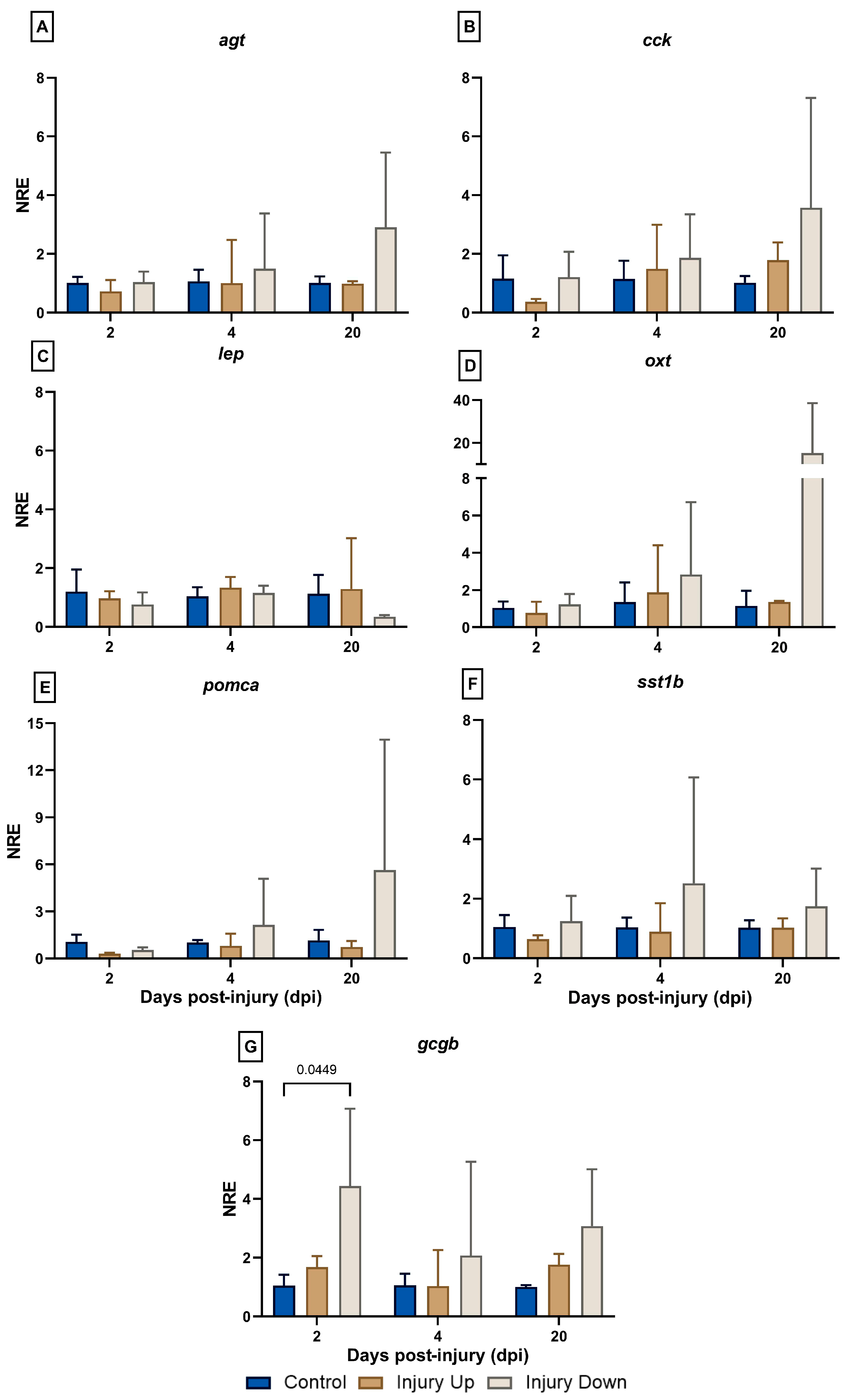 Animals 14 01815 g002