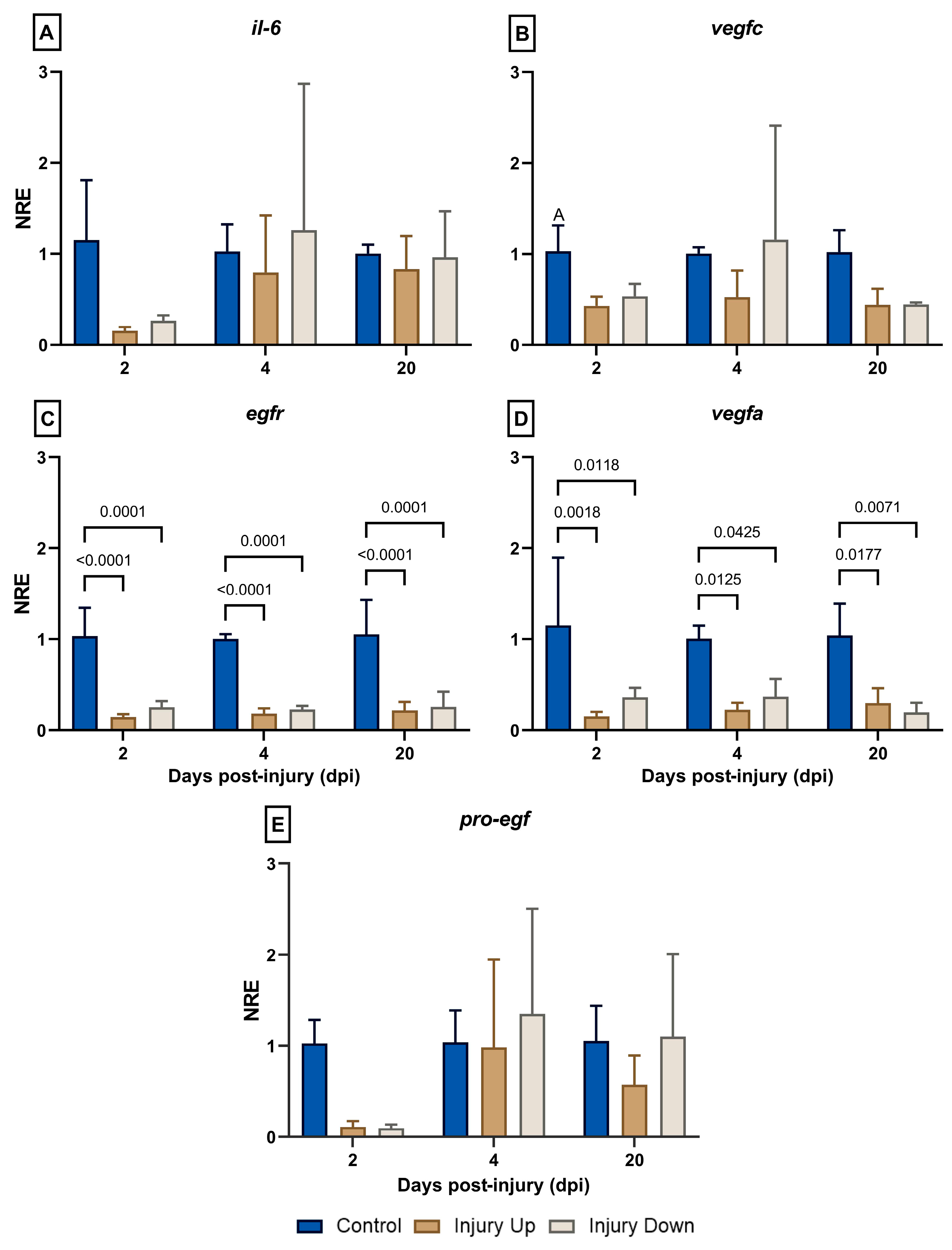 Animals 14 01815 g003