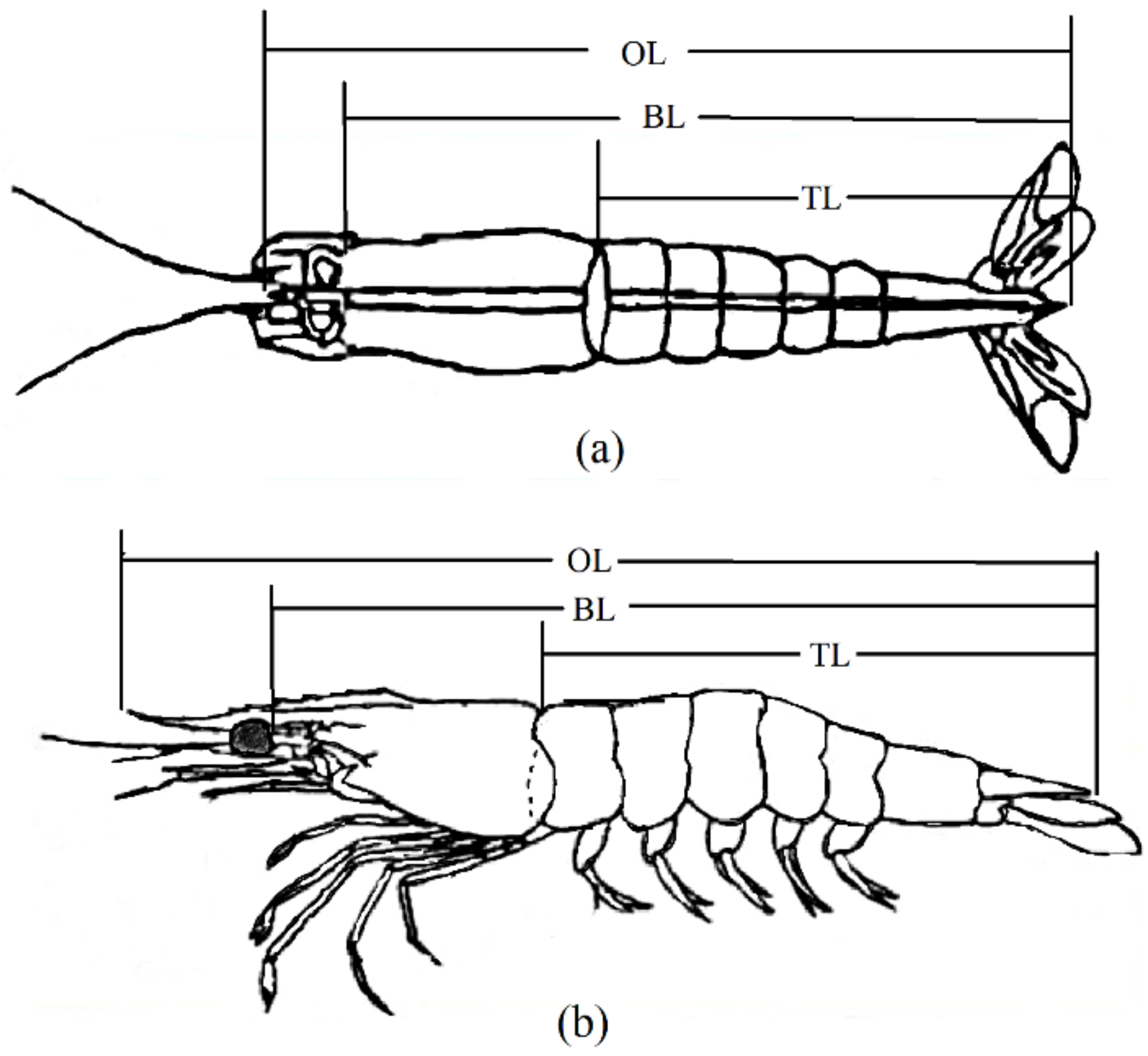 Animals 14 01817 g001