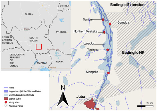 Animals 14 01819 g001