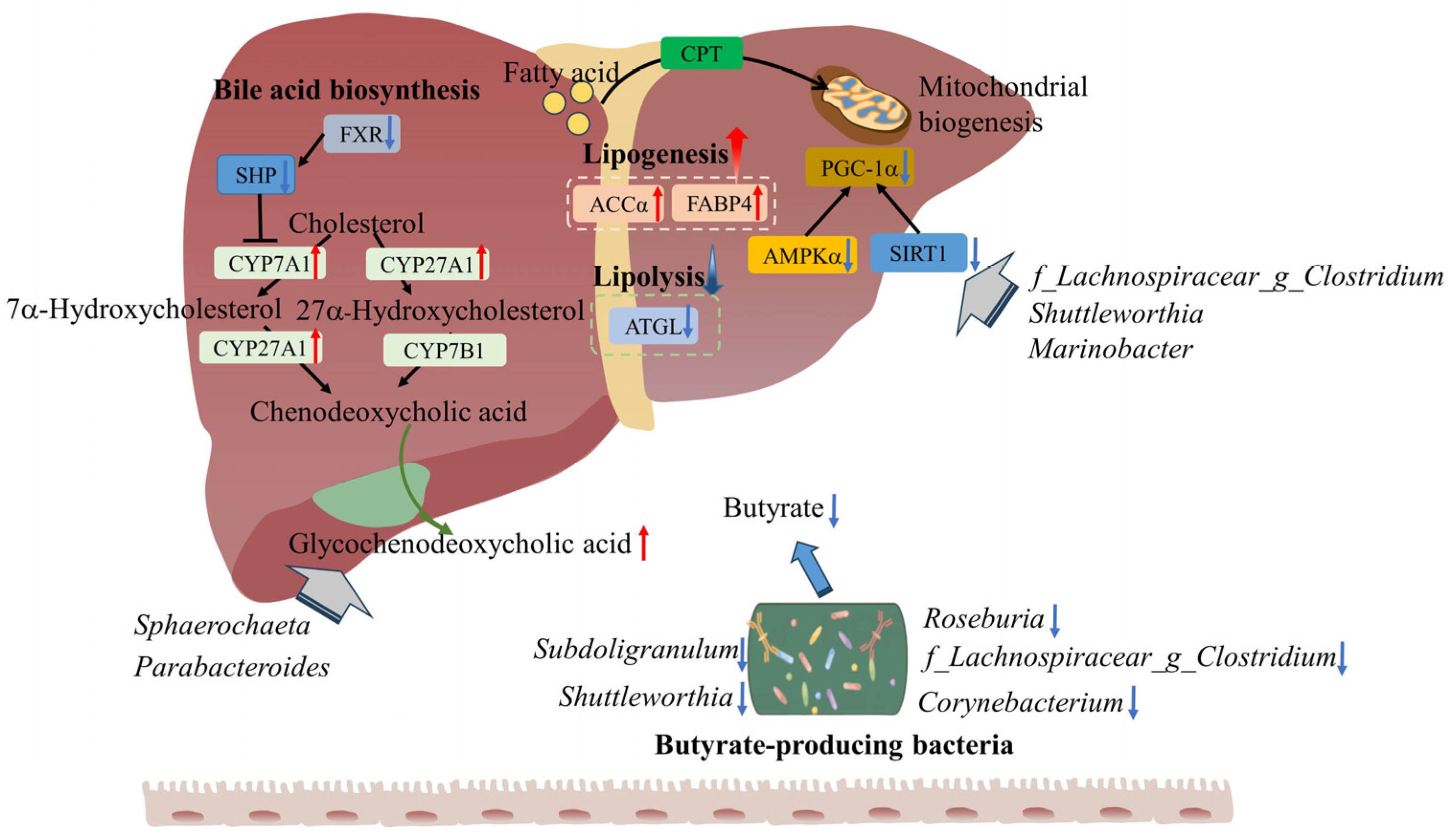 Animals 14 01824 g007