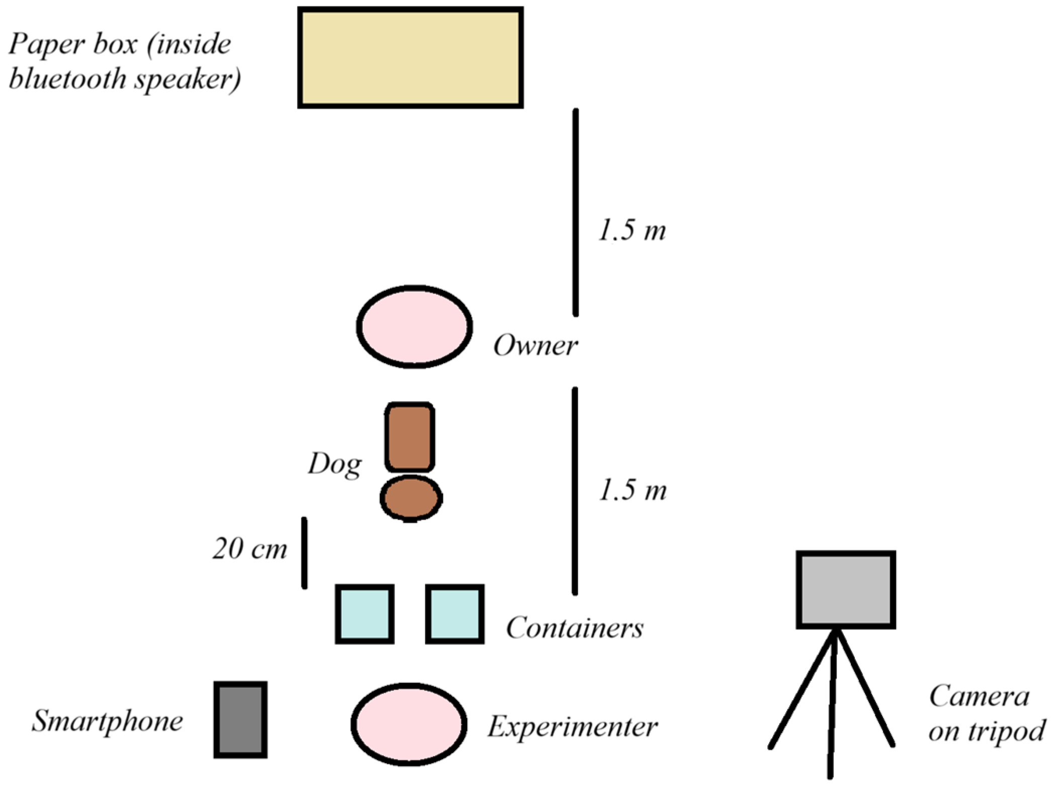 Animals 14 01841 g002